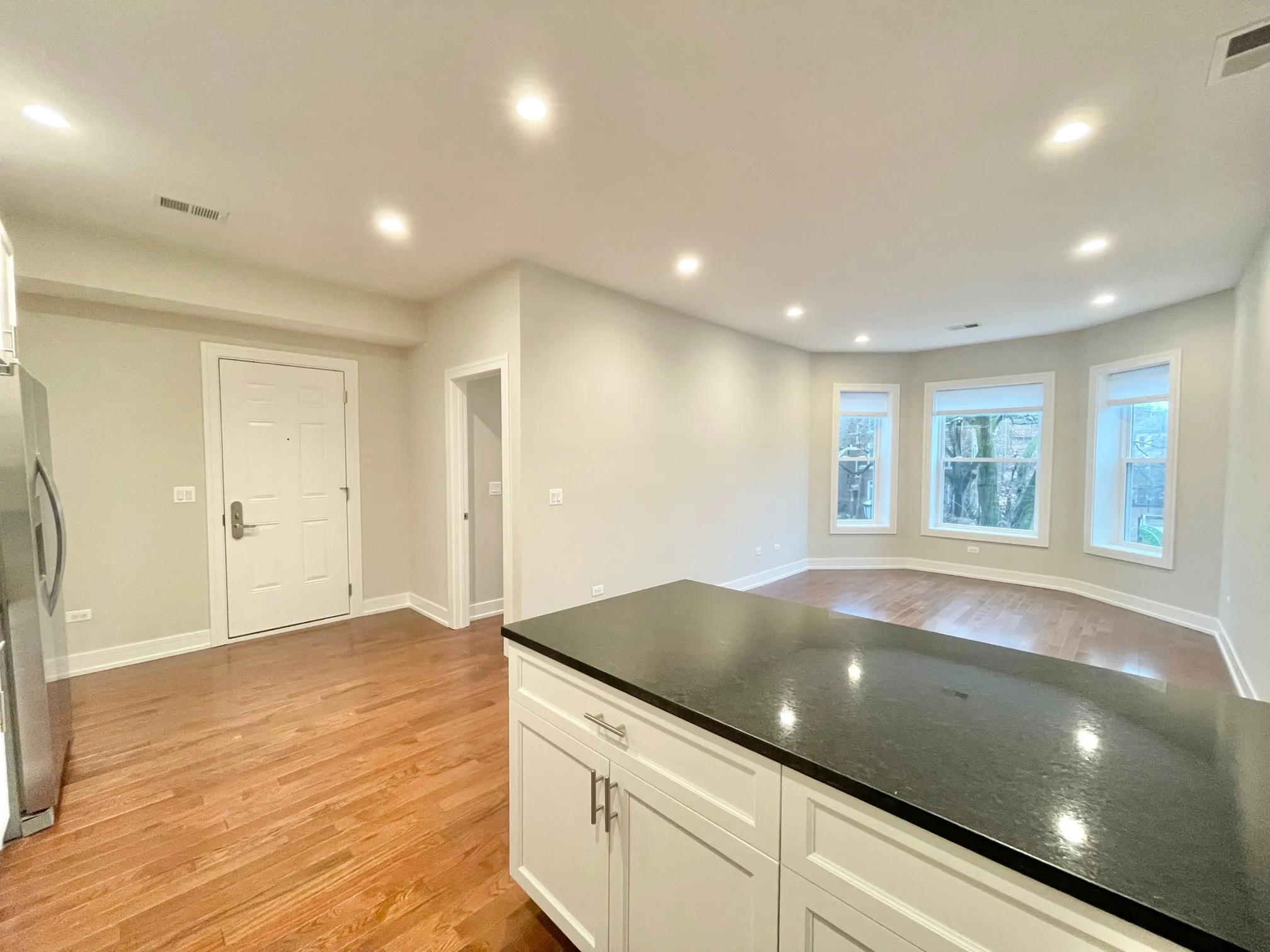 4641 N MALDEN ST 60640-Malden Apartments-unit#1-Chicago-IL