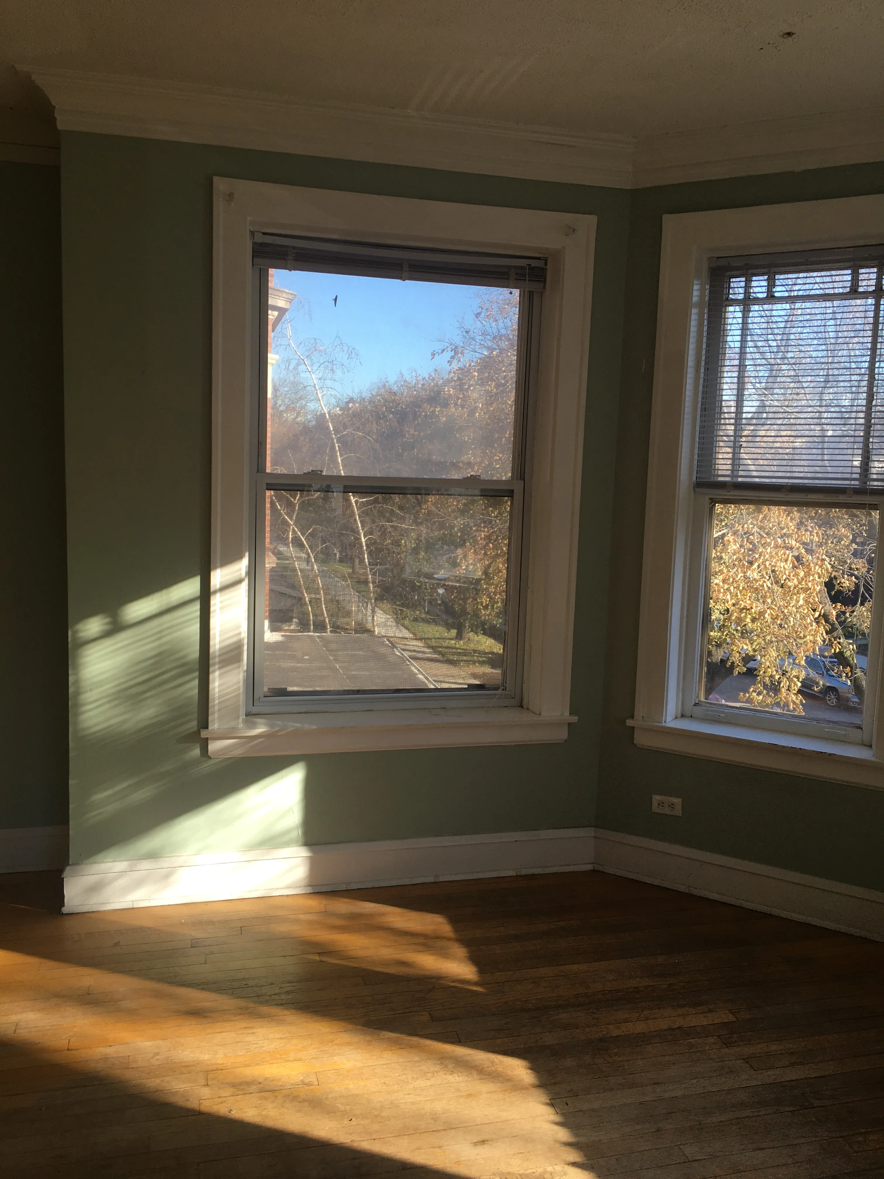 1460 W OLIVE AVE 60660-unit#02-Chicago-IL