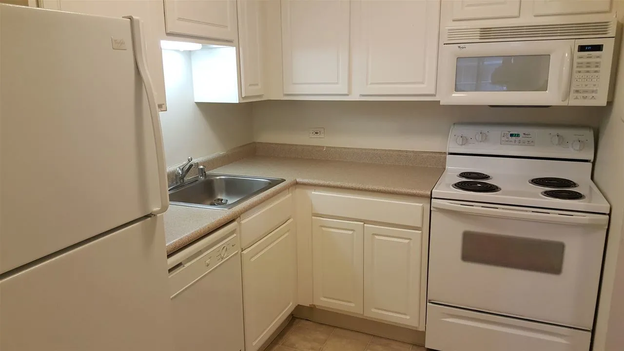 10 E ONTARIO ST 60611-unit#1206-Chicago-IL