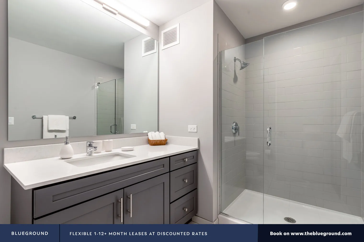 450 W BELMONT AVE 60657-Four50-unit#ID203-Chicago-IL