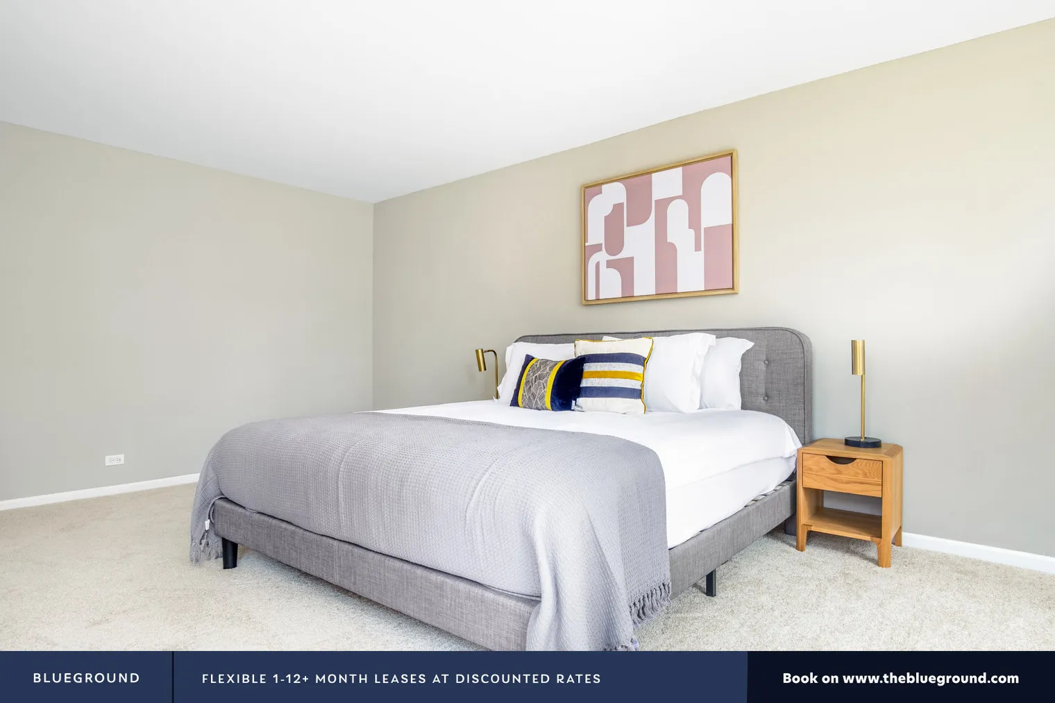 860 N DEWITT PL 60611-Gold Coast City Club-unit#ID391-Chicago-IL