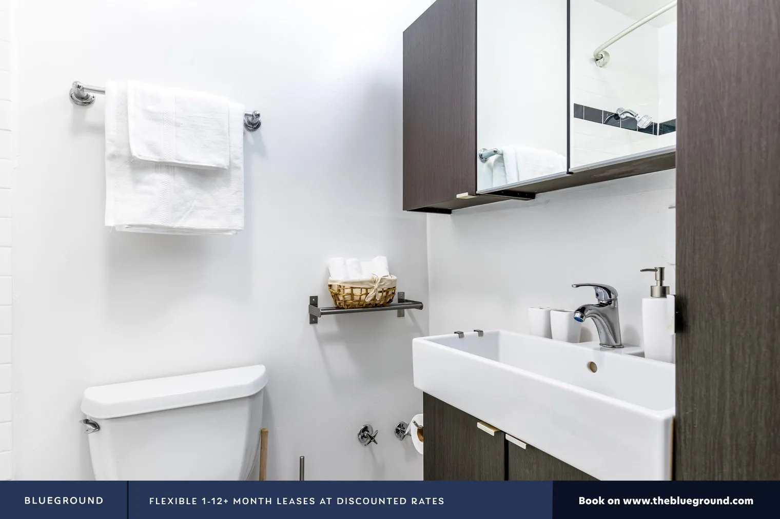 20 E SCOTT ST 60610-20 E. Scott-unit#ID286-Chicago-IL