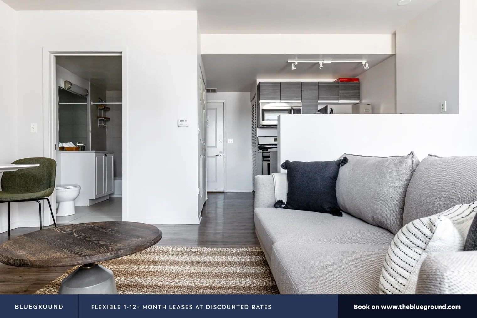 30 E ROOSEVELT RD 60605-The Roosevelt-unit#ID307-Chicago-IL