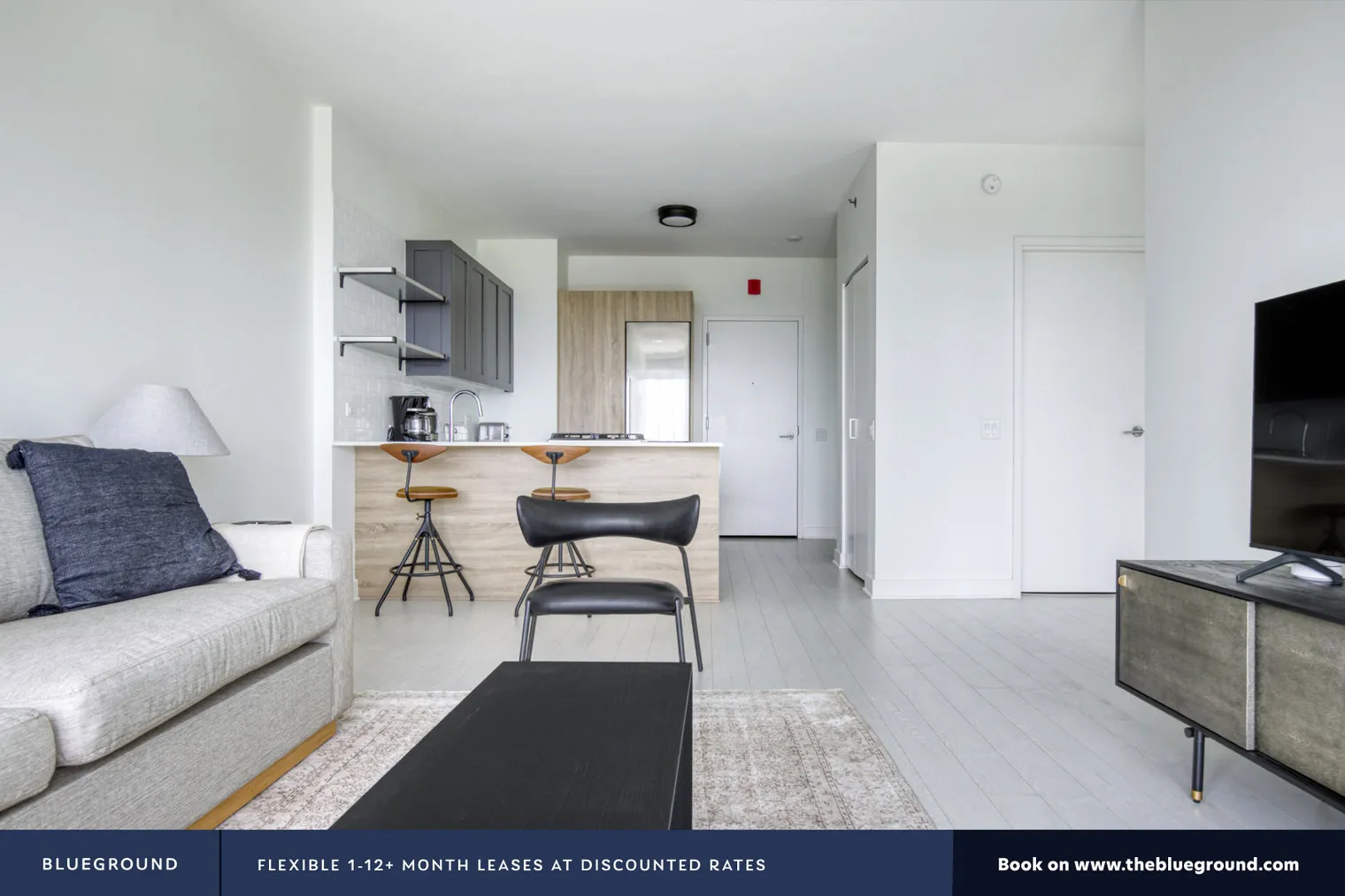 1035 W VAN BUREN ST 60607-Landmark West Loop-unit#ID433-Chicago-IL