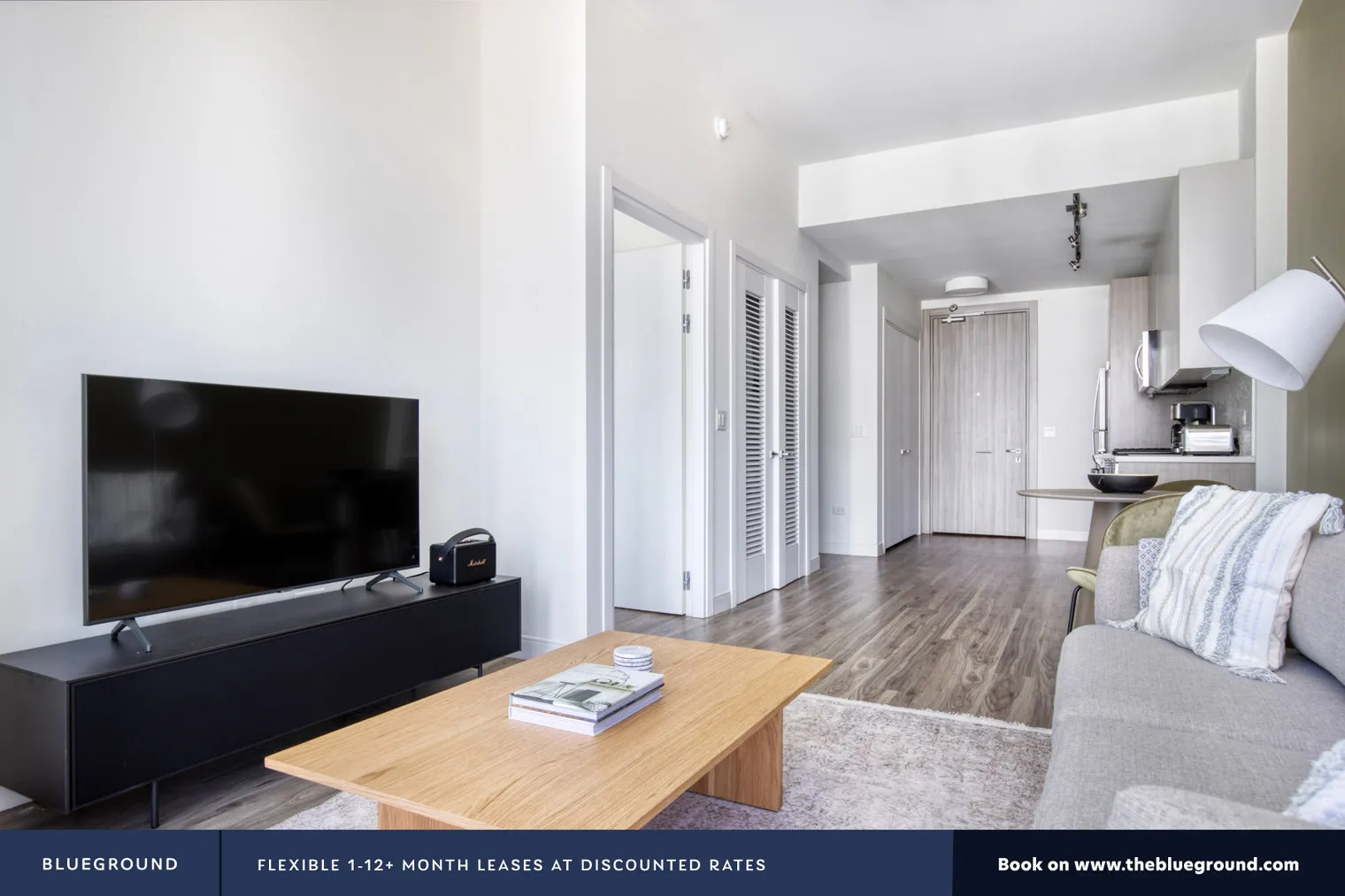 1407 S MICHIGAN AVE 60605-1407 On Michigan-unit#ID762-Chicago-IL