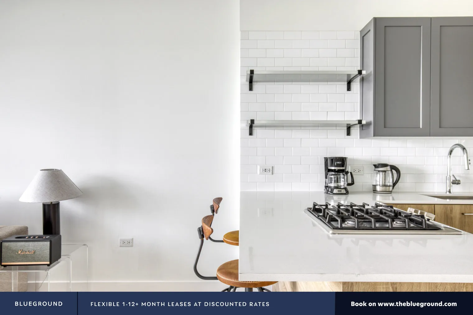 1035 W VAN BUREN ST 60607-Landmark West Loop-unit#ID433-Chicago-IL