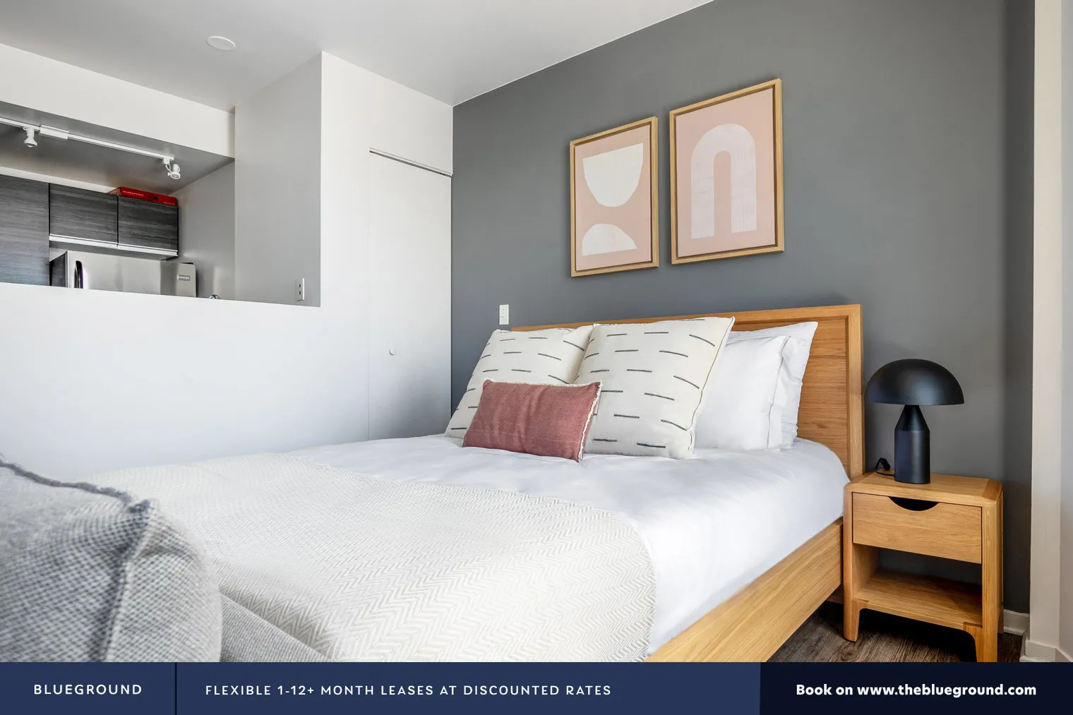 30 E ROOSEVELT RD 60605-The Roosevelt-unit#ID307-Chicago-IL