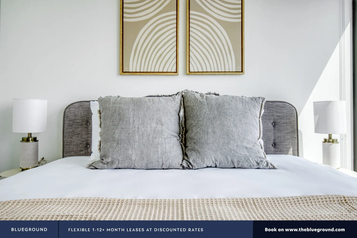 1035 W VAN BUREN ST 60607-Landmark West Loop-unit#ID433-Chicago-IL