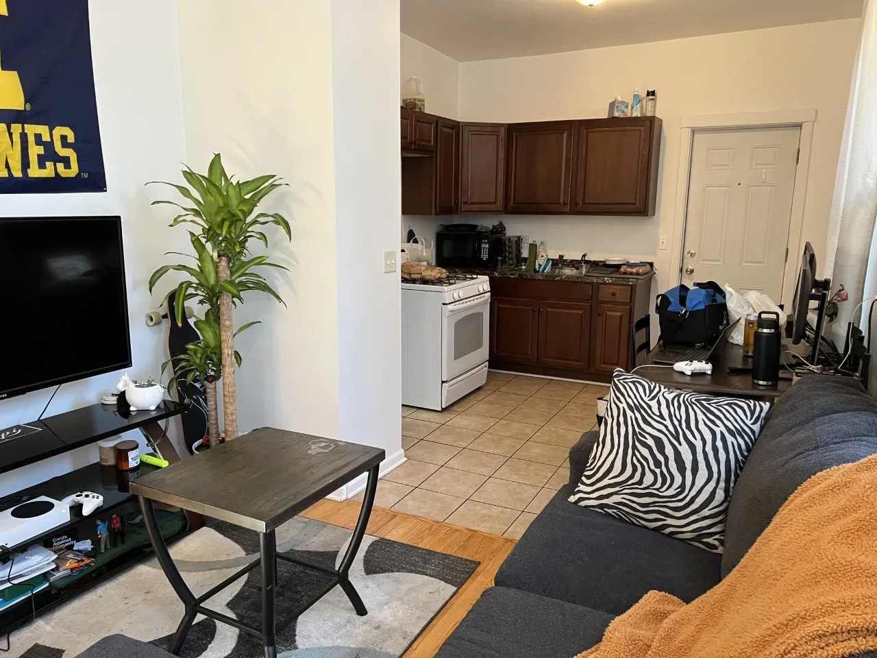 946 W CONCORD PL 60614-unit#1R-Chicago-IL