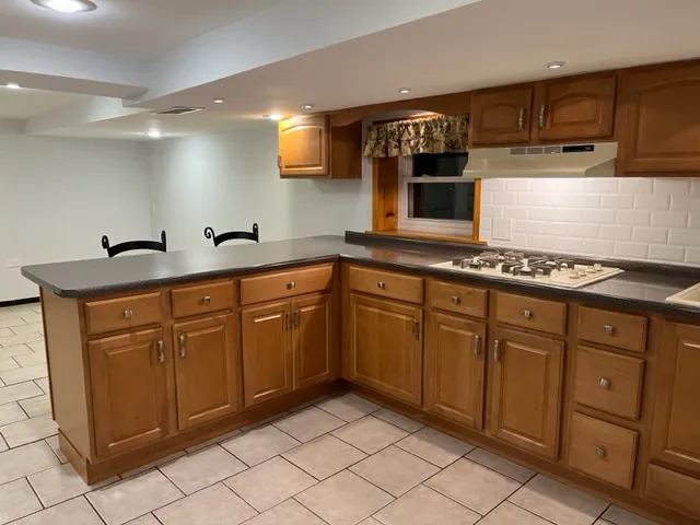 3414 N SPRINGFIELD AVE 60618-unit#1-Chicago-IL