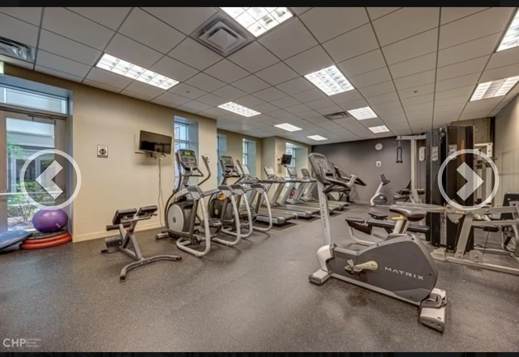 700 N LARRABEE ST 60654-Luxury Skyline & River Views w Balcony-unit#xxx-Chicago-IL