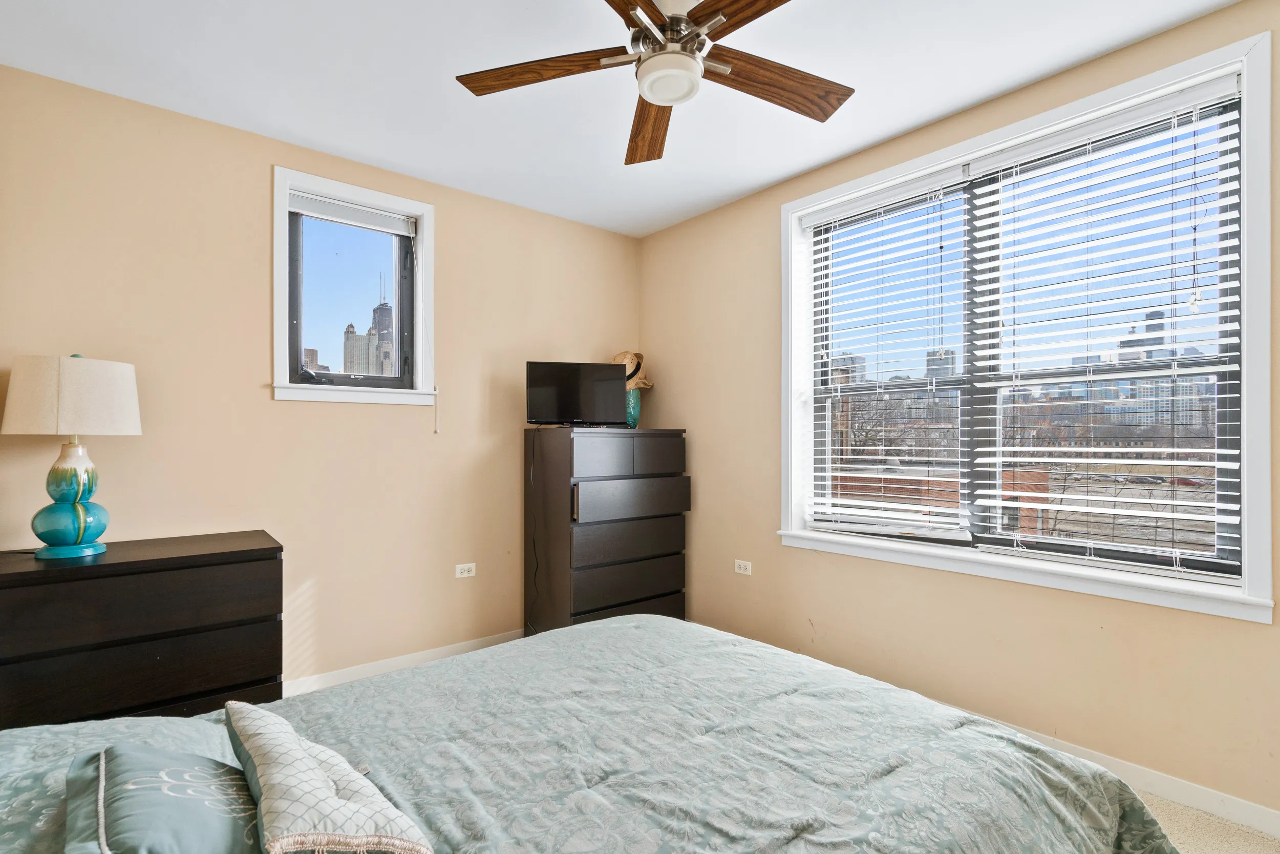 1141 N CAMBRIDGE AVE 60610-Chicago-IL