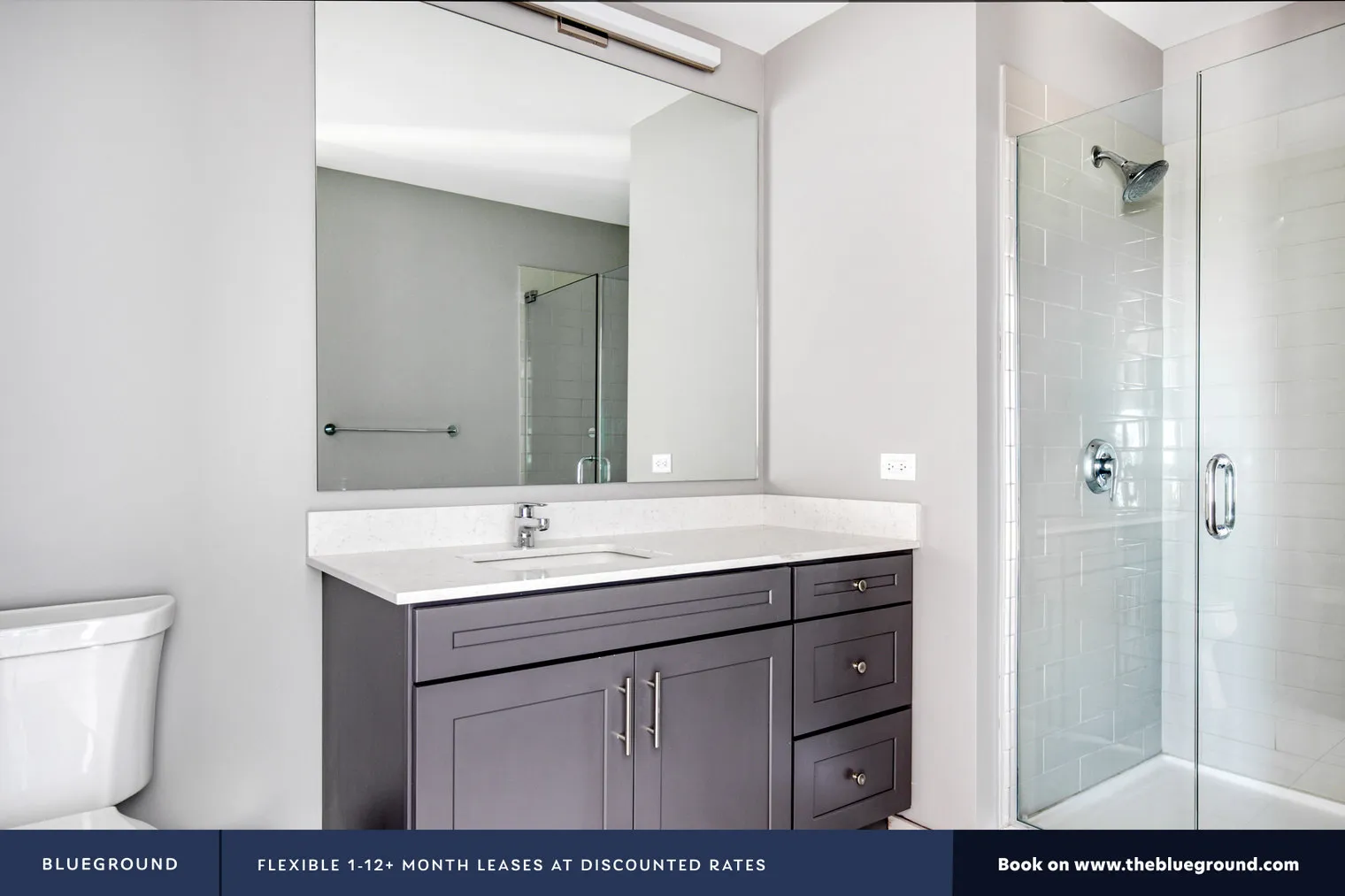 450 W BELMONT AVE 60657-Four50-unit#ID181-Chicago-IL