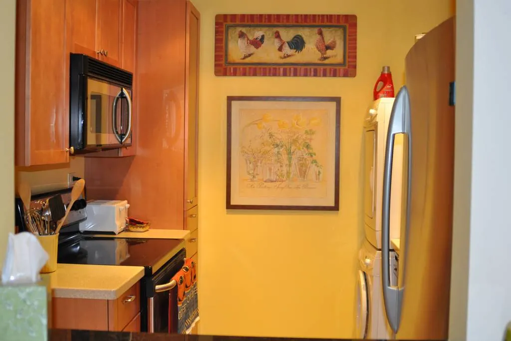 163 W DIVISION ST 60610-unit#206-Chicago-IL