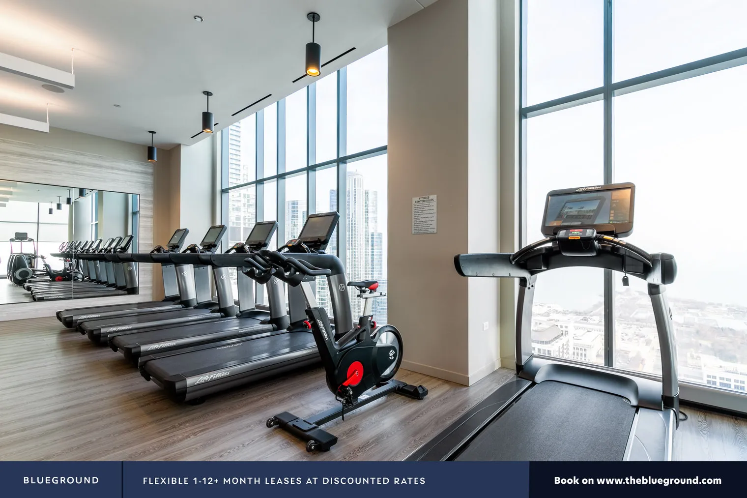 1326 S MICHIGAN AVE 60605-Paragon-unit#ID432-Chicago-IL