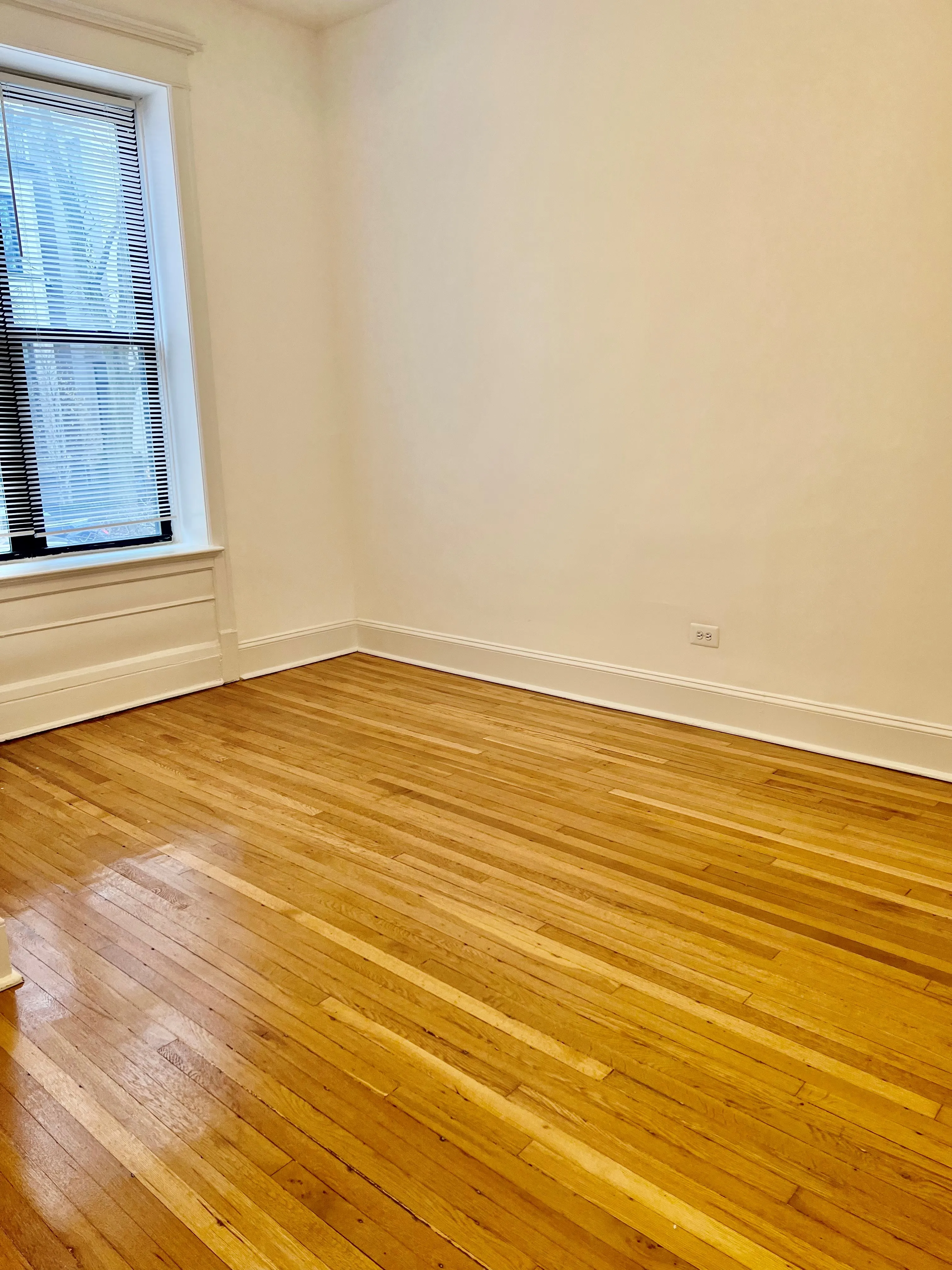 1912 N LINCOLN PARK WEST 60614-Park West Apartments-unit#1S-Chicago-IL