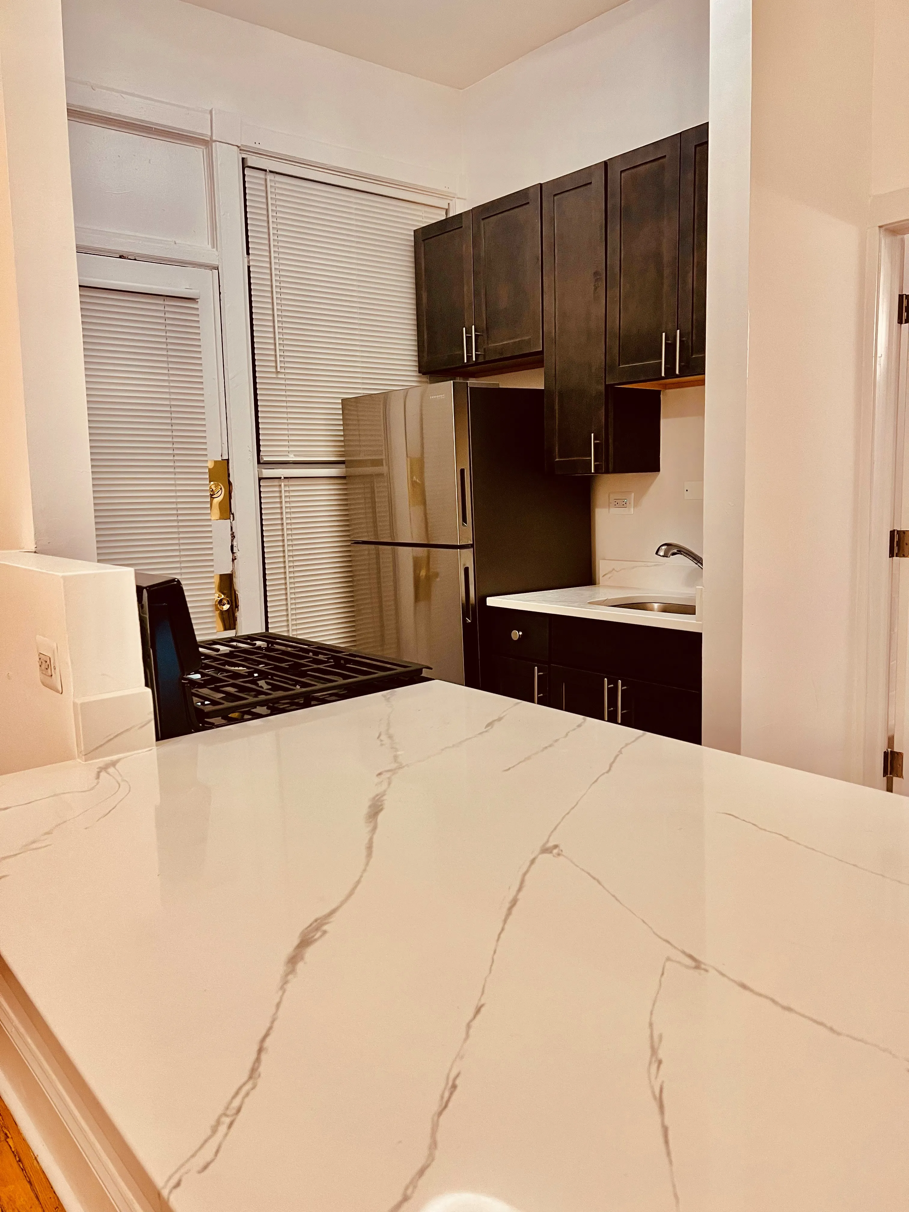 1912 N LINCOLN PARK WEST 60614-Park West Apartments-unit#1S-Chicago-IL