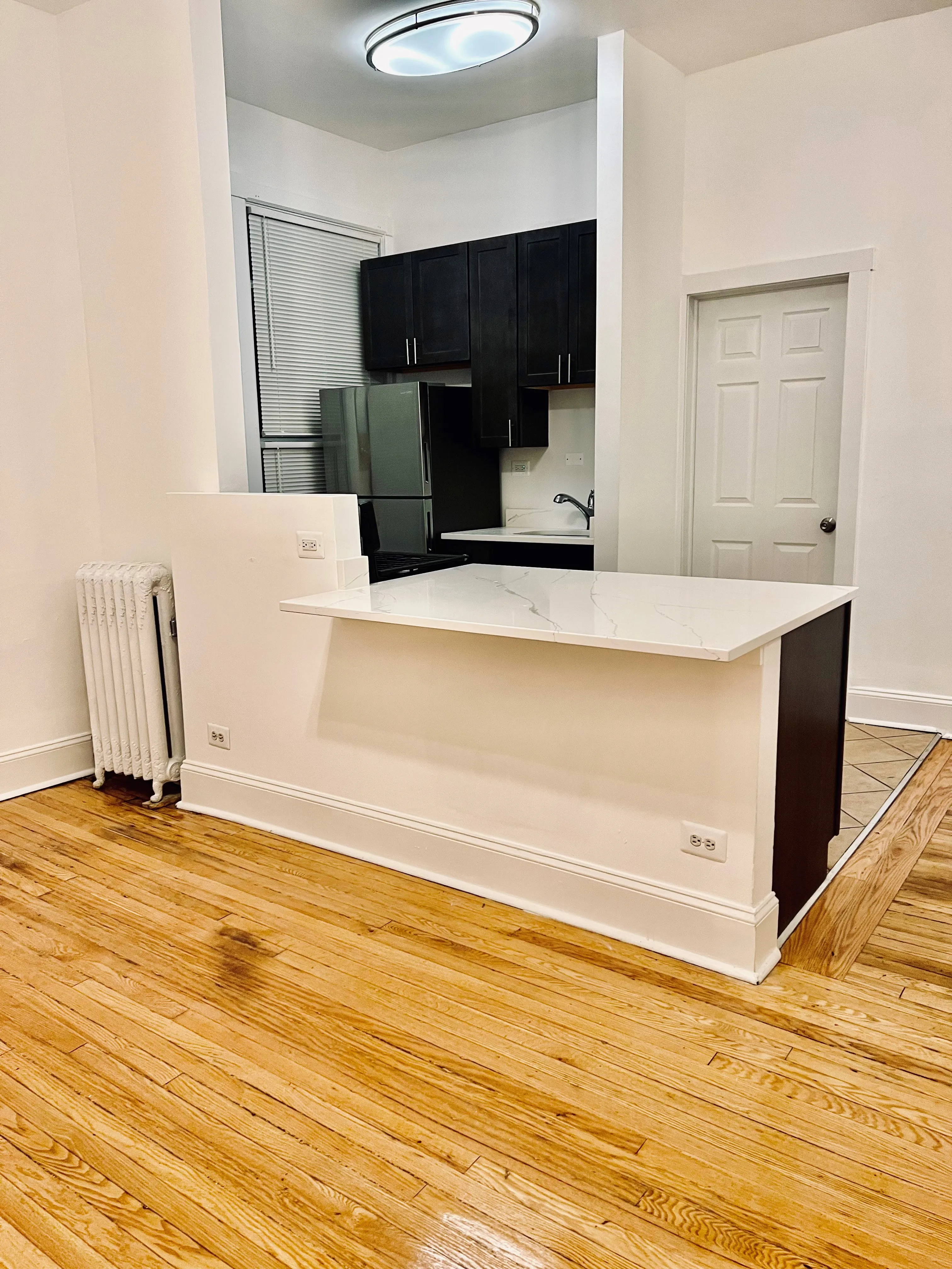 1912 N LINCOLN PARK WEST 60614-Park West Apartments-unit#1S-Chicago-IL