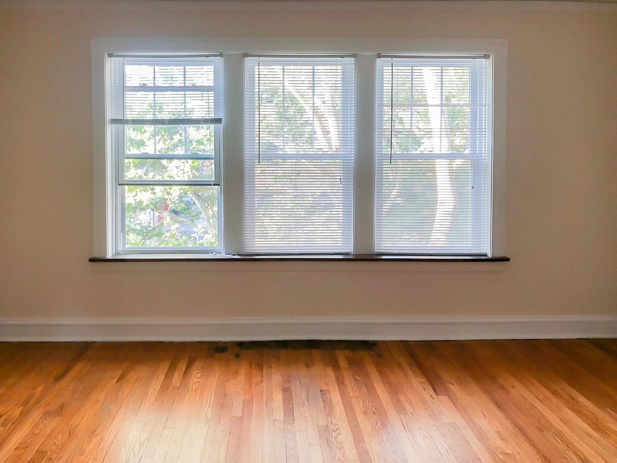 2016 W AINSLIE ST 60625-unit#01-Chicago-IL