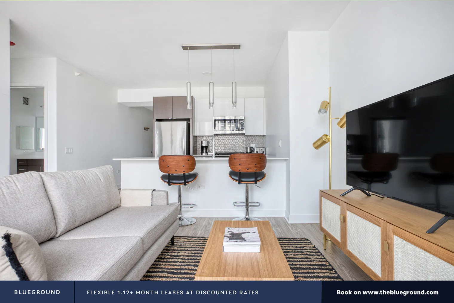1326 S MICHIGAN AVE 60605-Paragon-unit#ID432-Chicago-IL