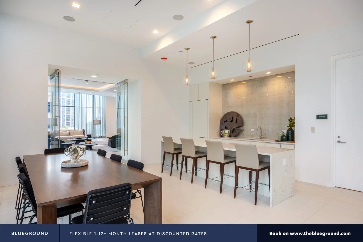 1326 S MICHIGAN AVE 60605-Paragon-unit#ID432-Chicago-IL