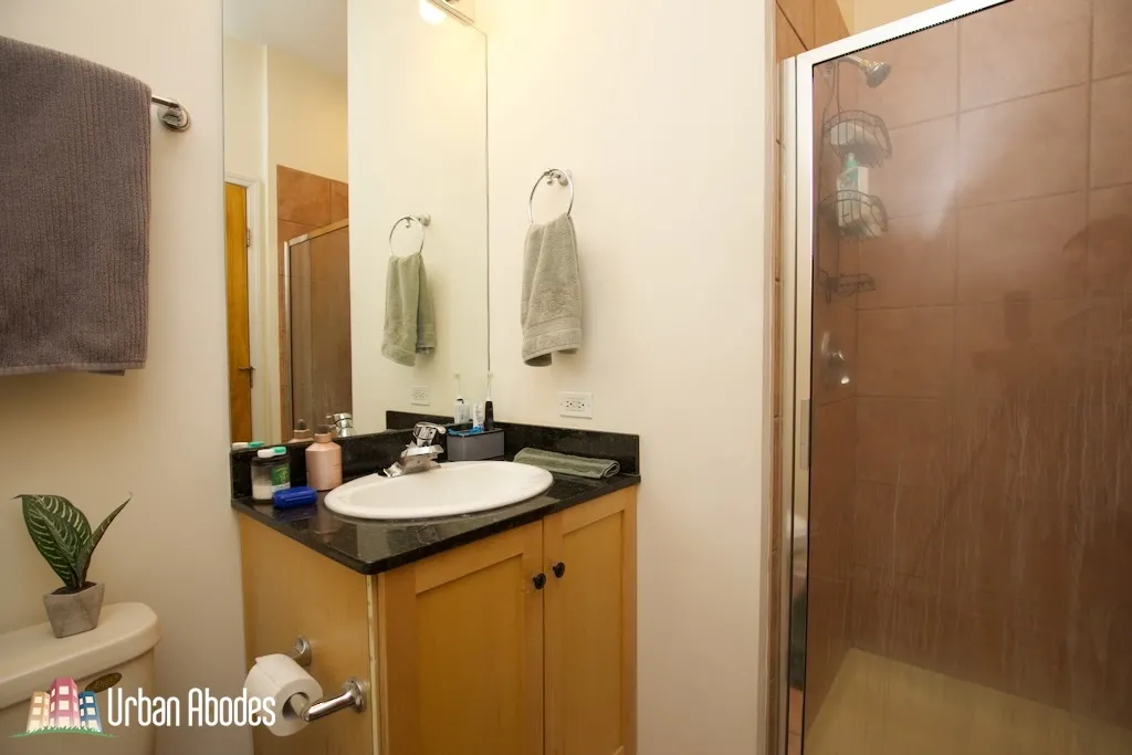 1743 W NORTH AVE 60622-unit#3-Chicago-IL