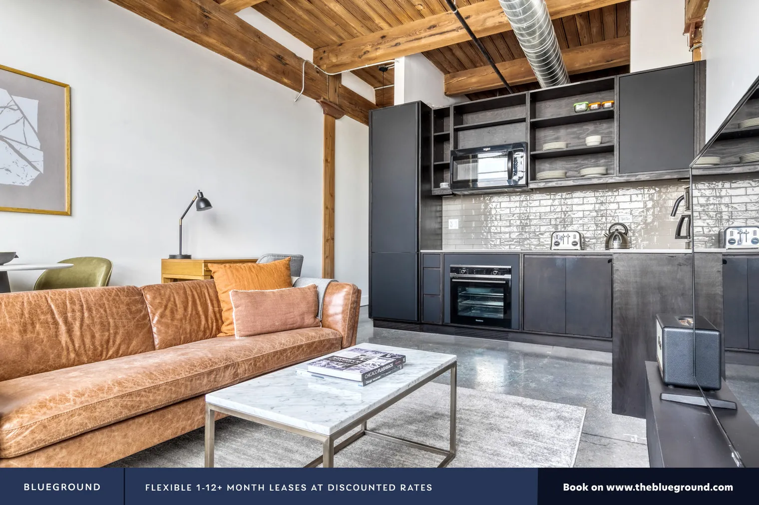 2061 N SOUTHPORT AVE 60614-Southport Lofts-unit#ID567-Chicago-IL