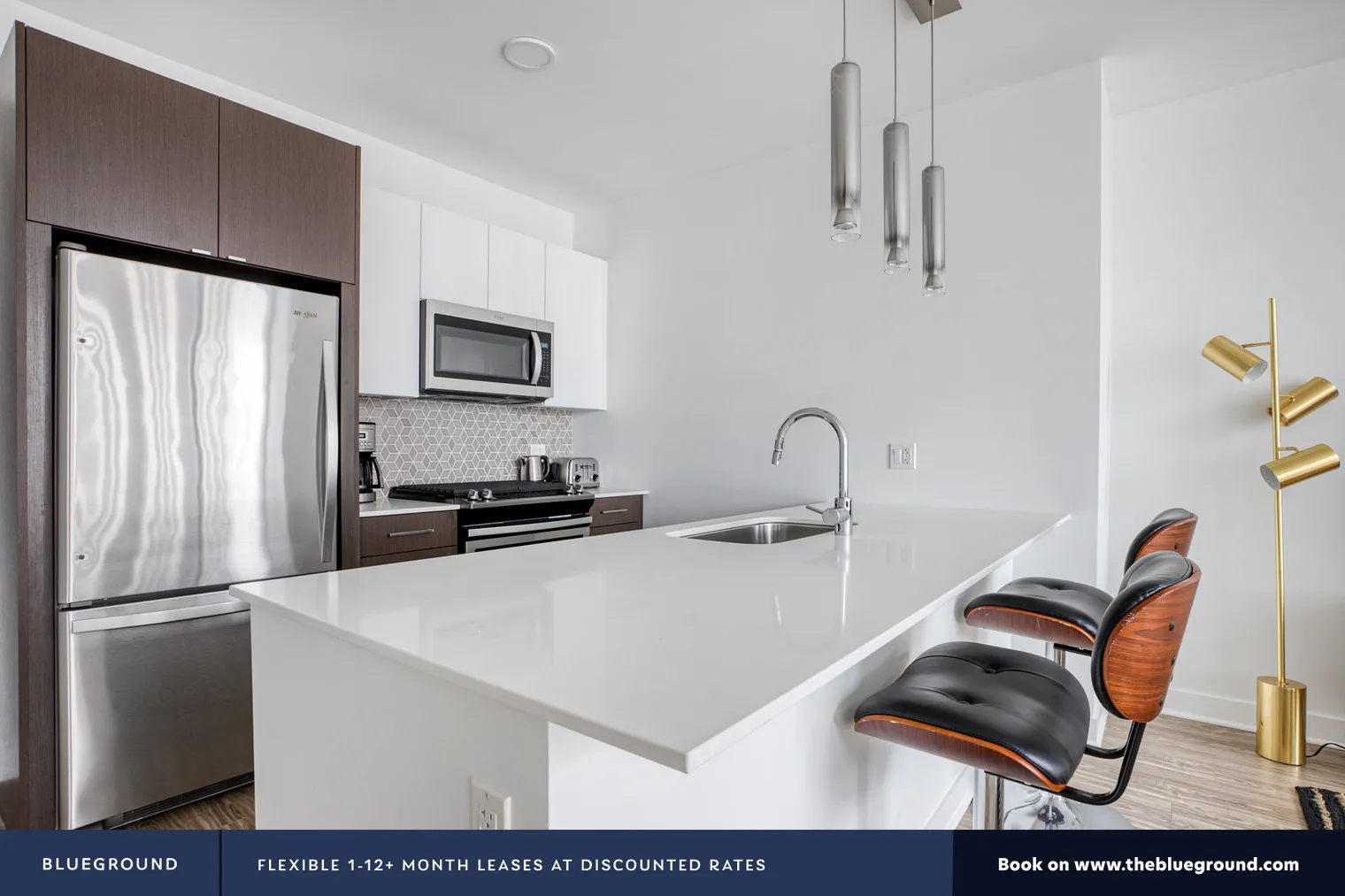1326 S MICHIGAN AVE 60605-Paragon-unit#ID432-Chicago-IL