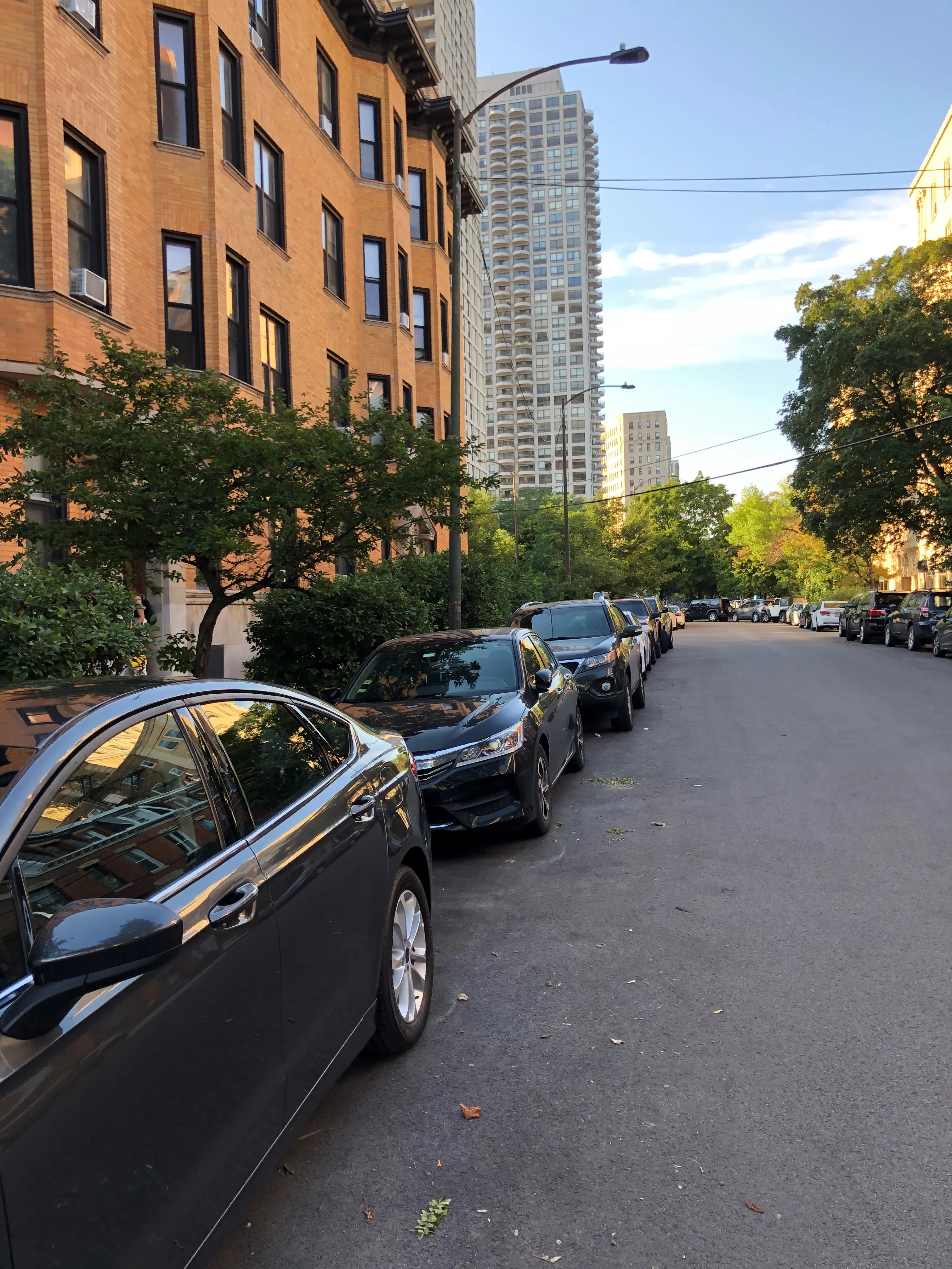 1912 N LINCOLN PARK WEST 60614-Park West Apartments-unit#1S-Chicago-IL