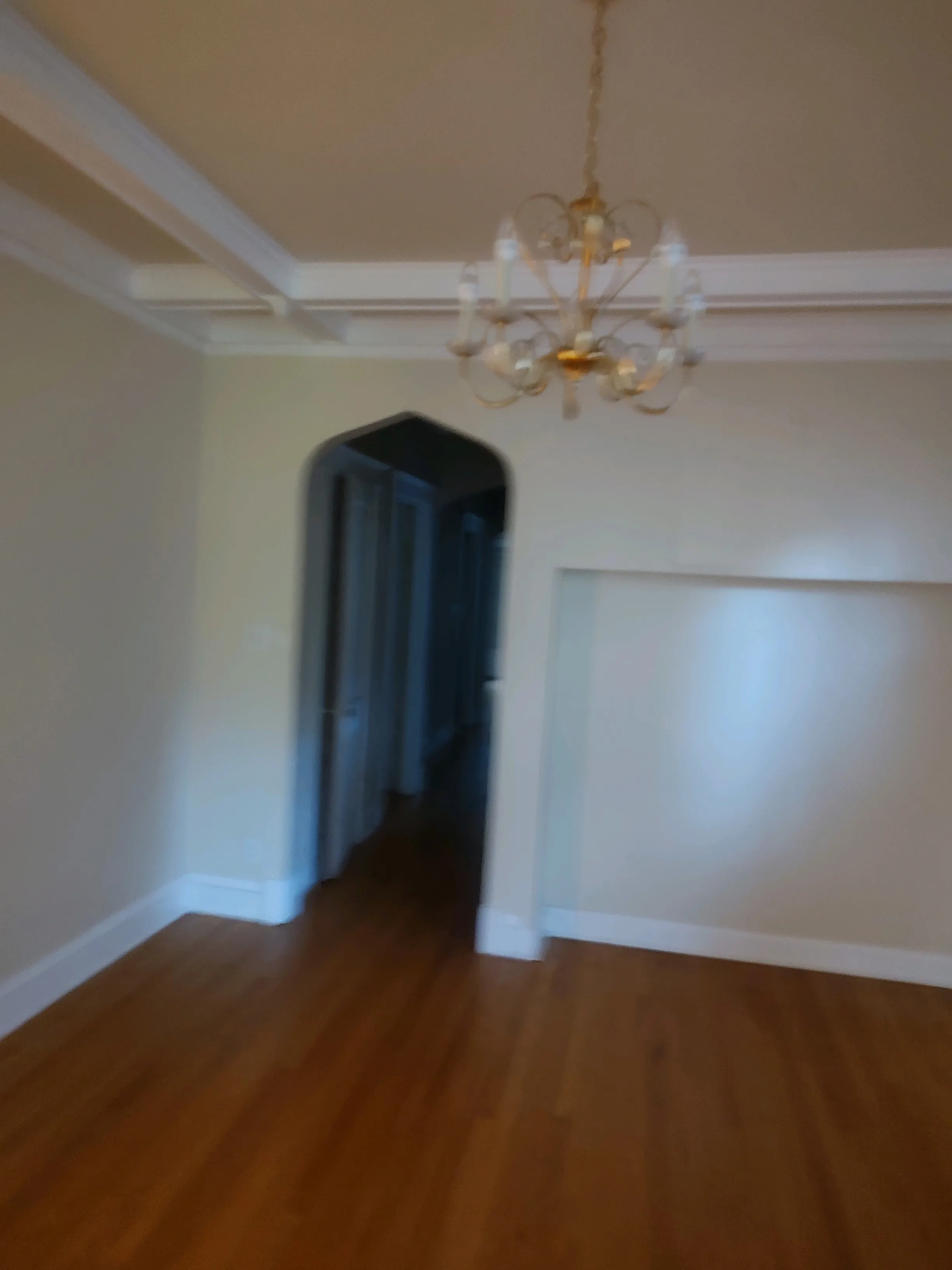 1317 W ELMDALE AVE 60660-unit#1-Chicago-IL