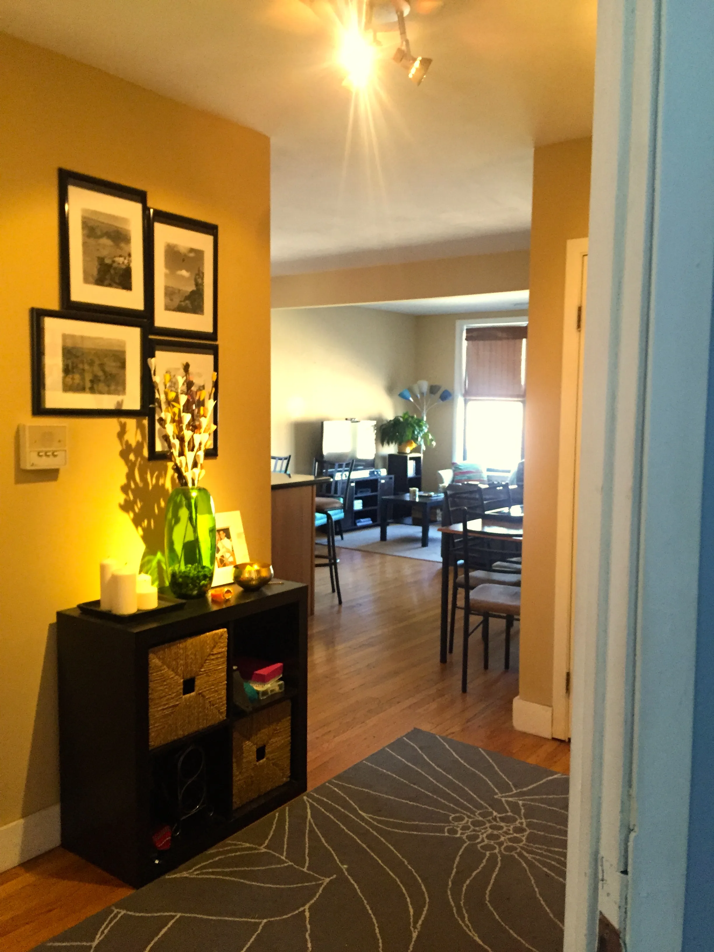 2355 N CALIFORNIA AVE 60647-unit#2S-Chicago-IL