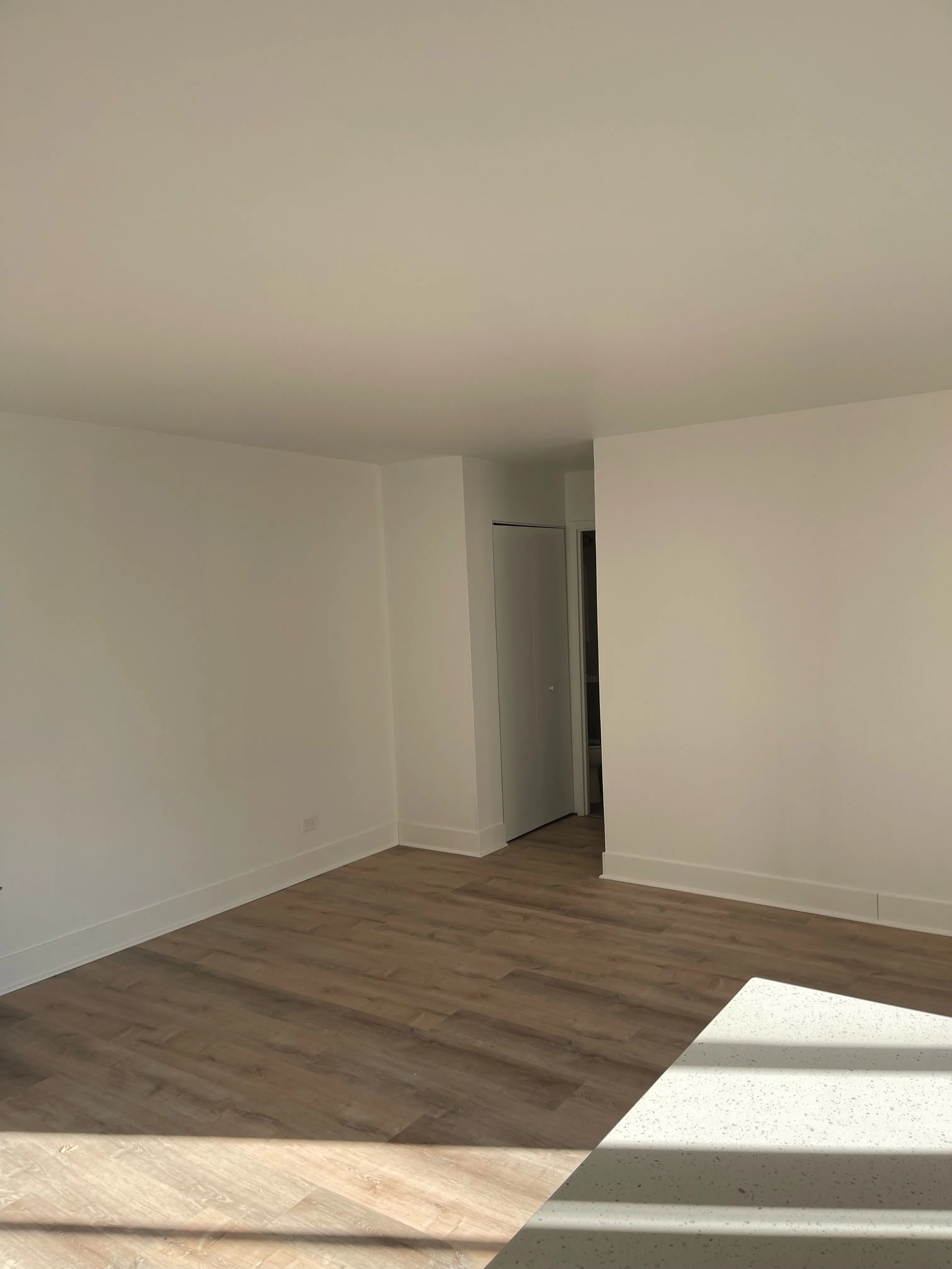 2424 N CLARK ST 60614-unit#301-Chicago-IL