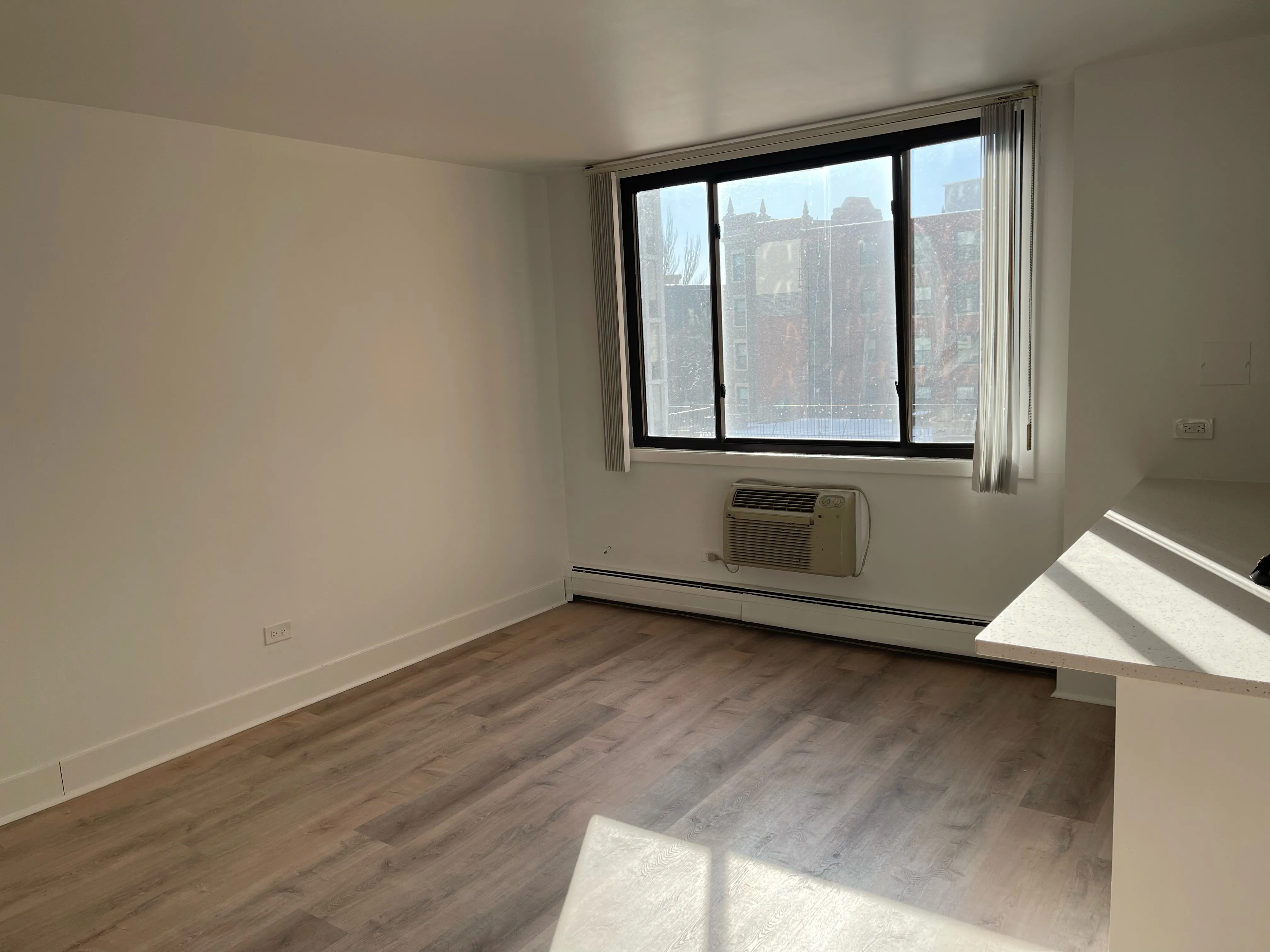 2424 N CLARK ST 60614-unit#301-Chicago-IL