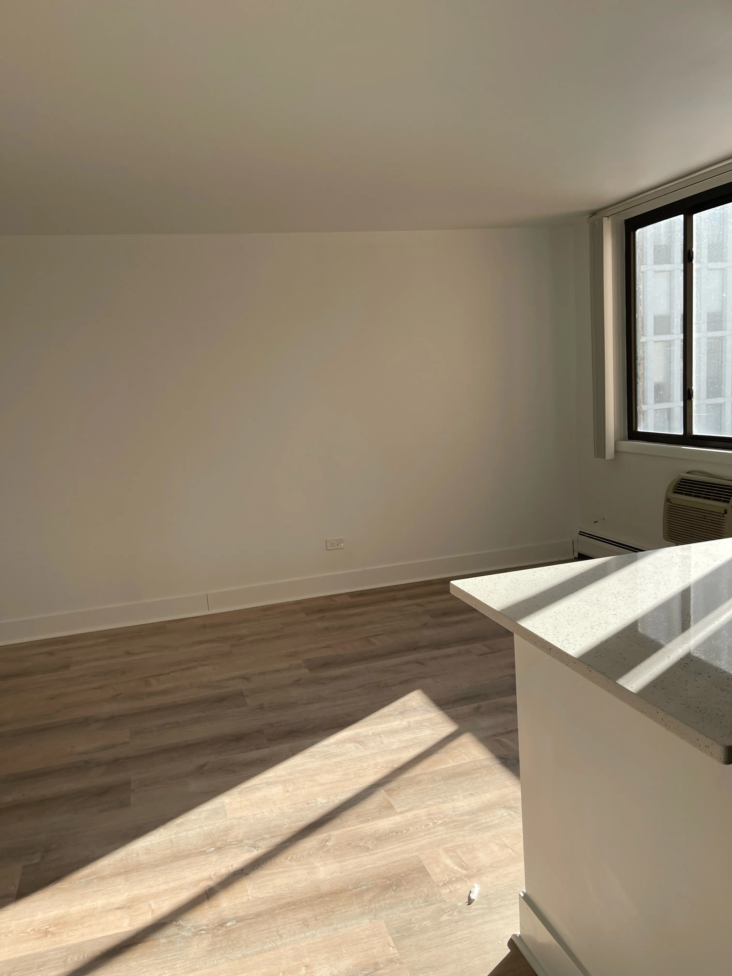 2424 N CLARK ST 60614-unit#301-Chicago-IL