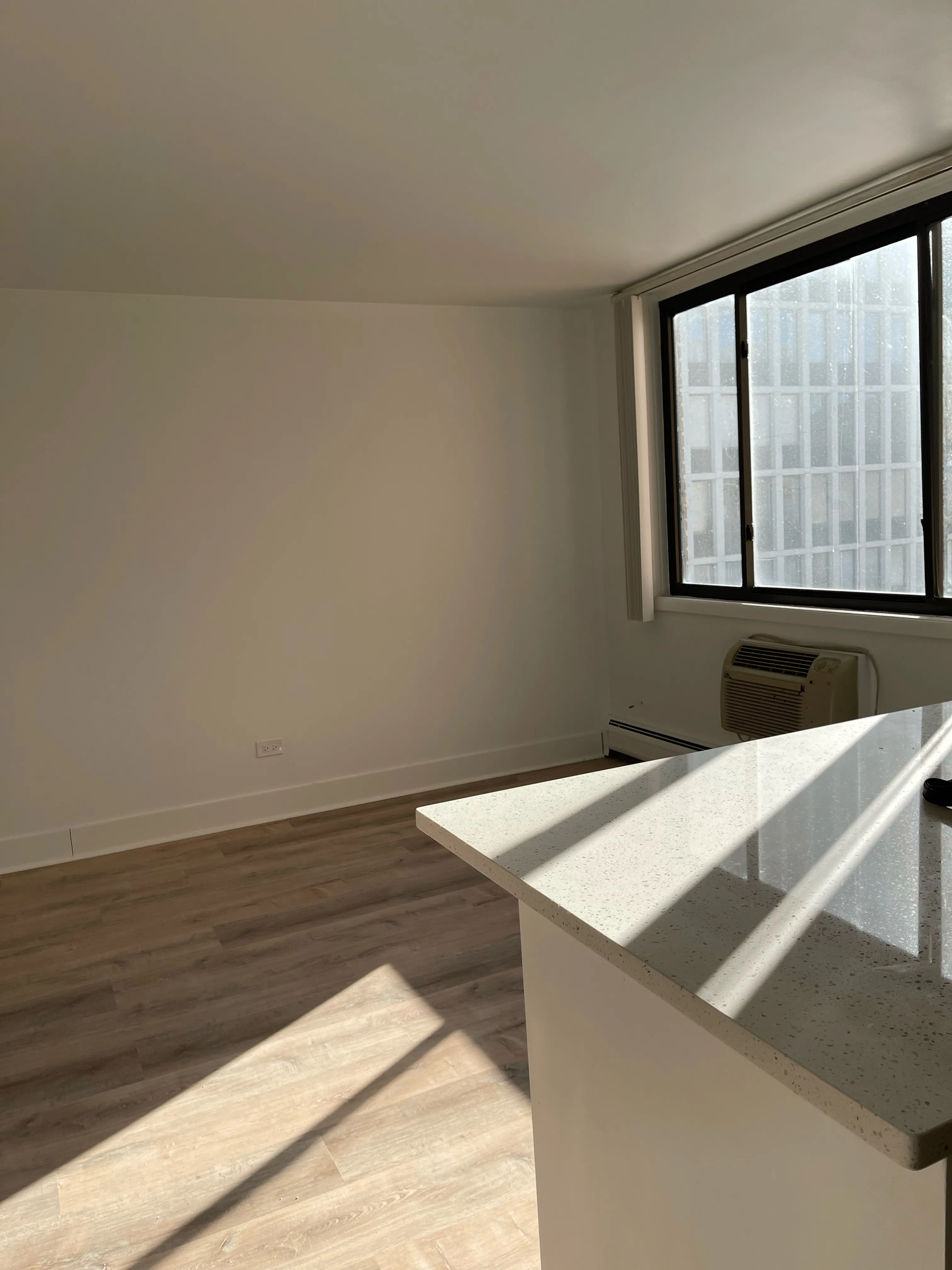 2424 N CLARK ST 60614-unit#301-Chicago-IL