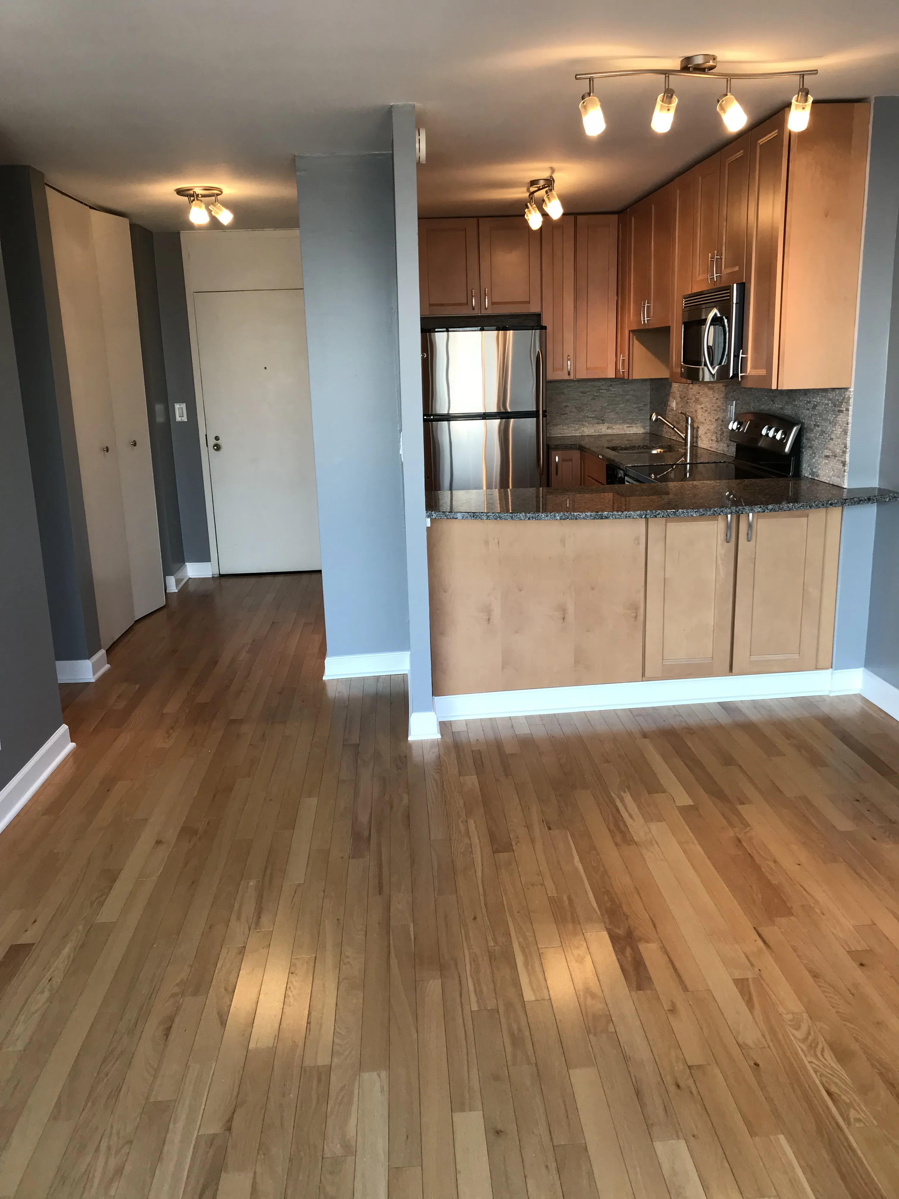 5455 N SHERIDAN RD 60640-unit#3005-Chicago-IL