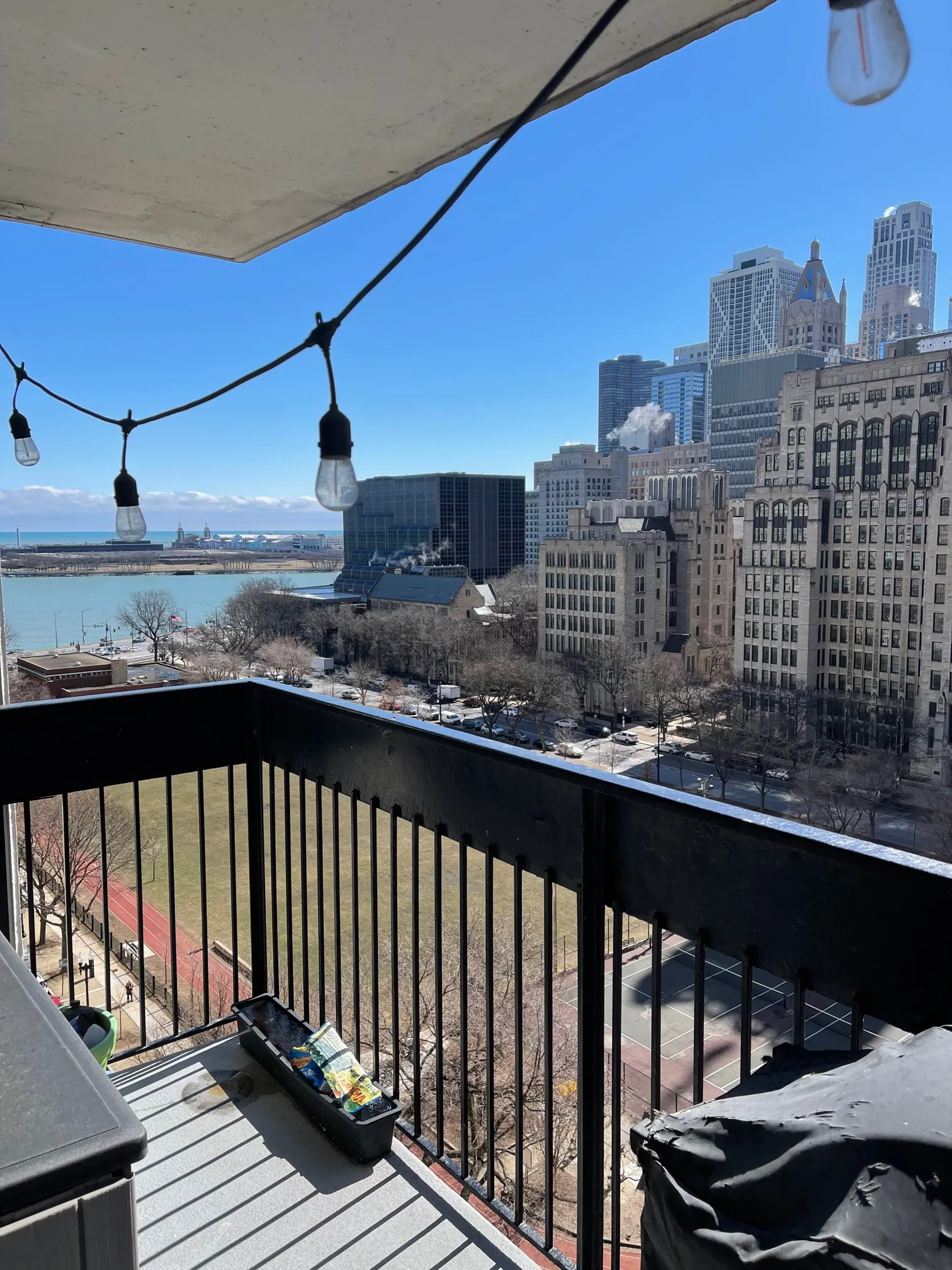 222 E PEARSON ST 60611-unit#1402-Chicago-IL