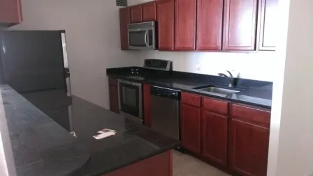 222 E PEARSON ST 60611-unit#1402-Chicago-IL