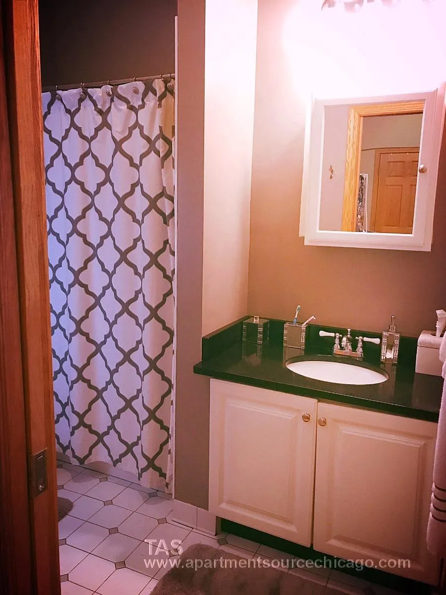 1131 W MADISON ST 60607-unit#3F-Chicago-IL