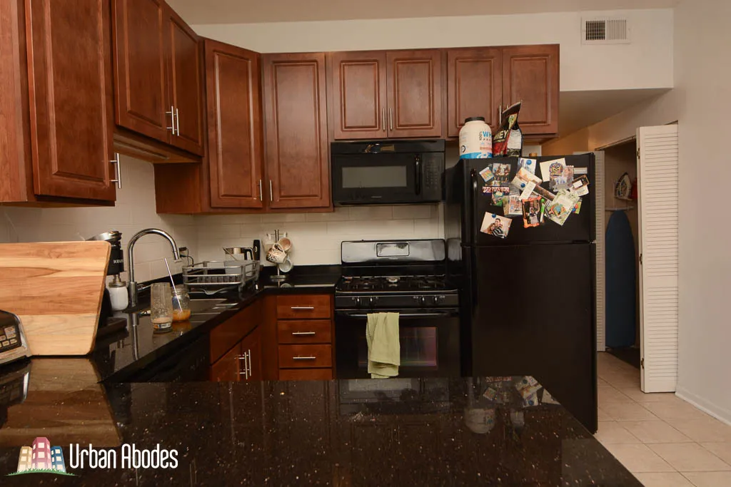 1416 W WOLFRAM ST 60657-unit#2-Chicago-IL