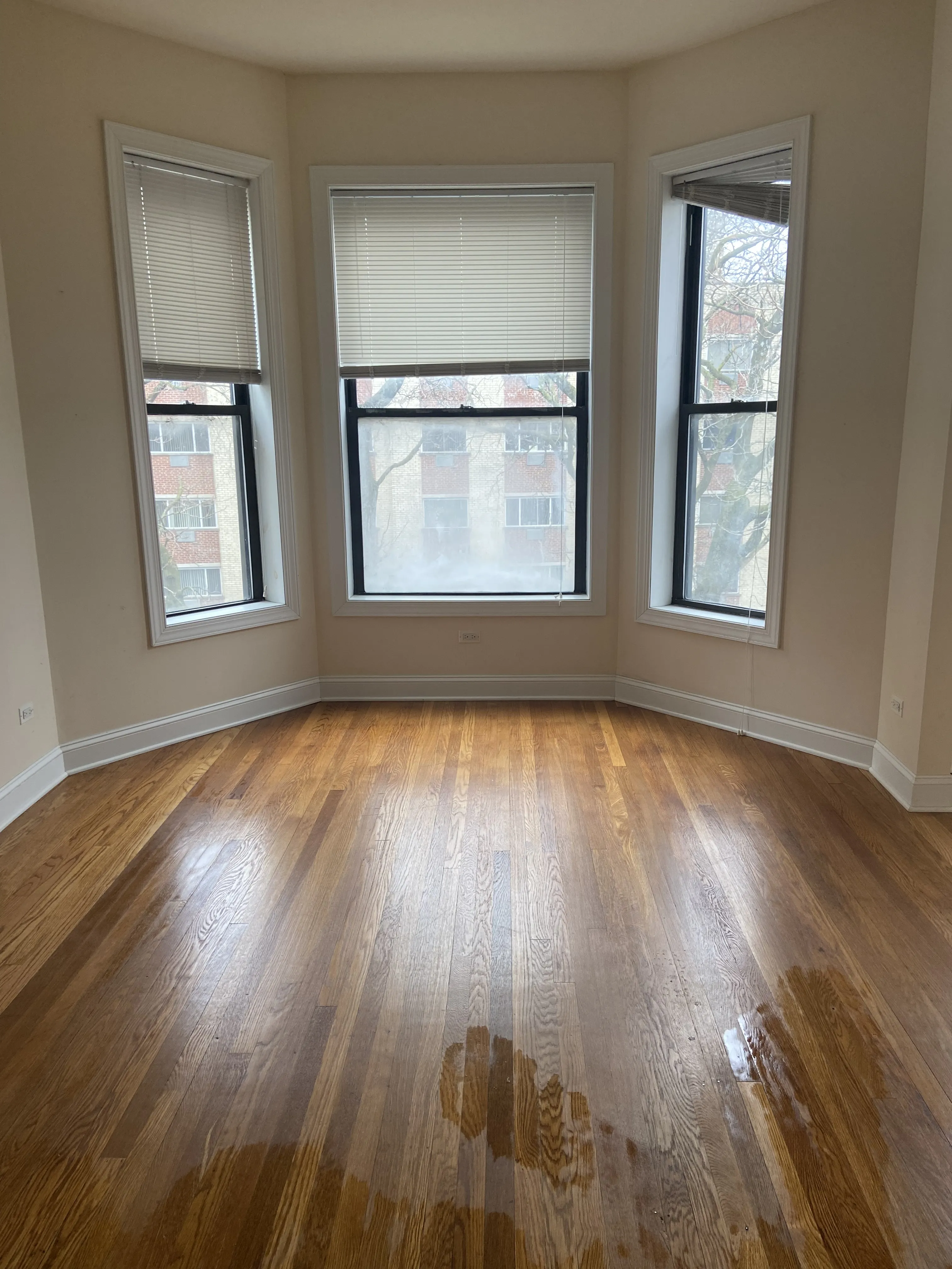 644 W GRACE ST 60613-unit#3-Chicago-IL