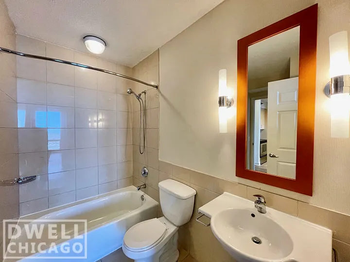 1255 S MICHIGAN AVE 60605-unit#1-Chicago-IL