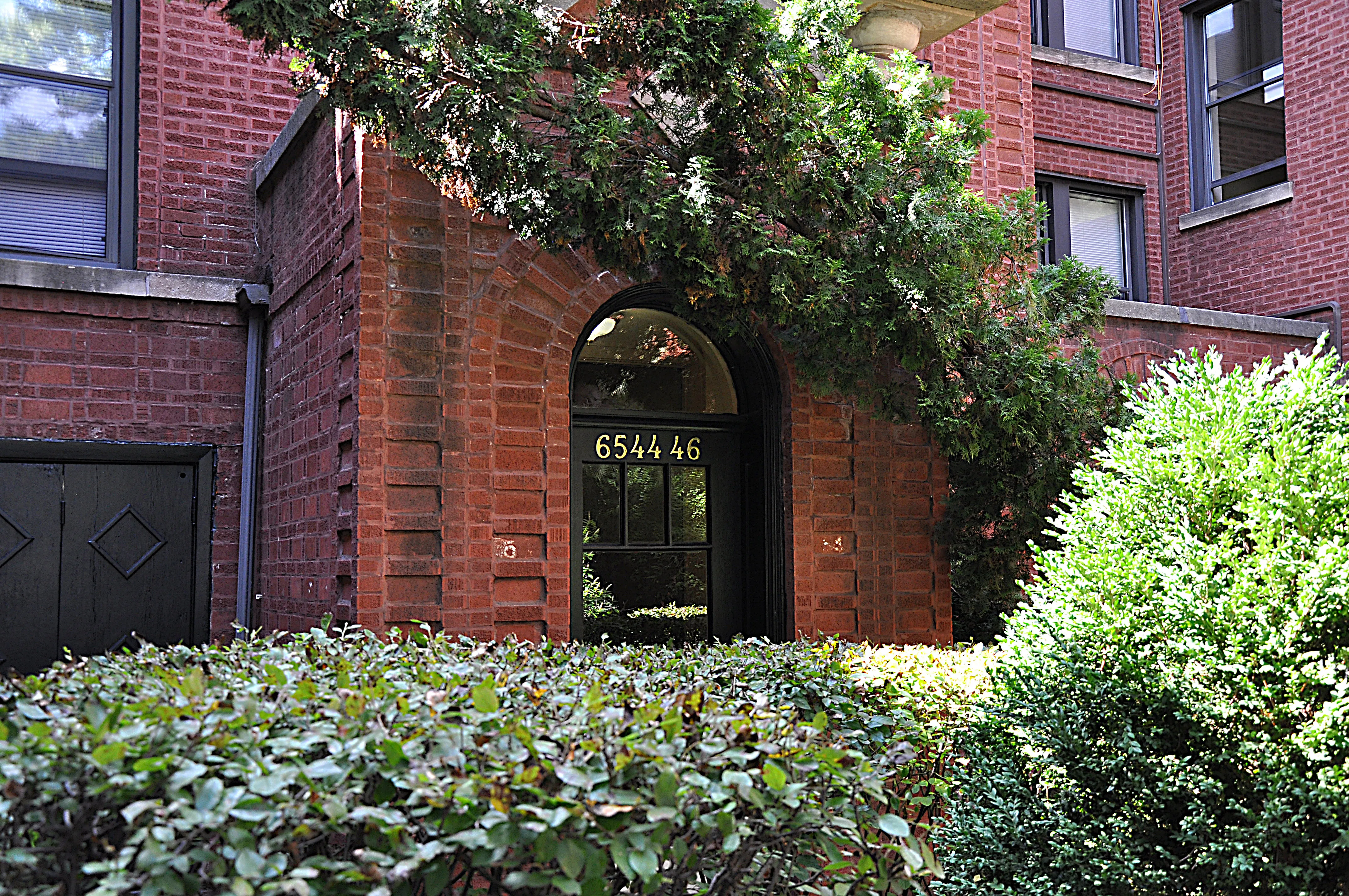 6546 N ASHLAND AVE 60626-unit#2N-Chicago-IL