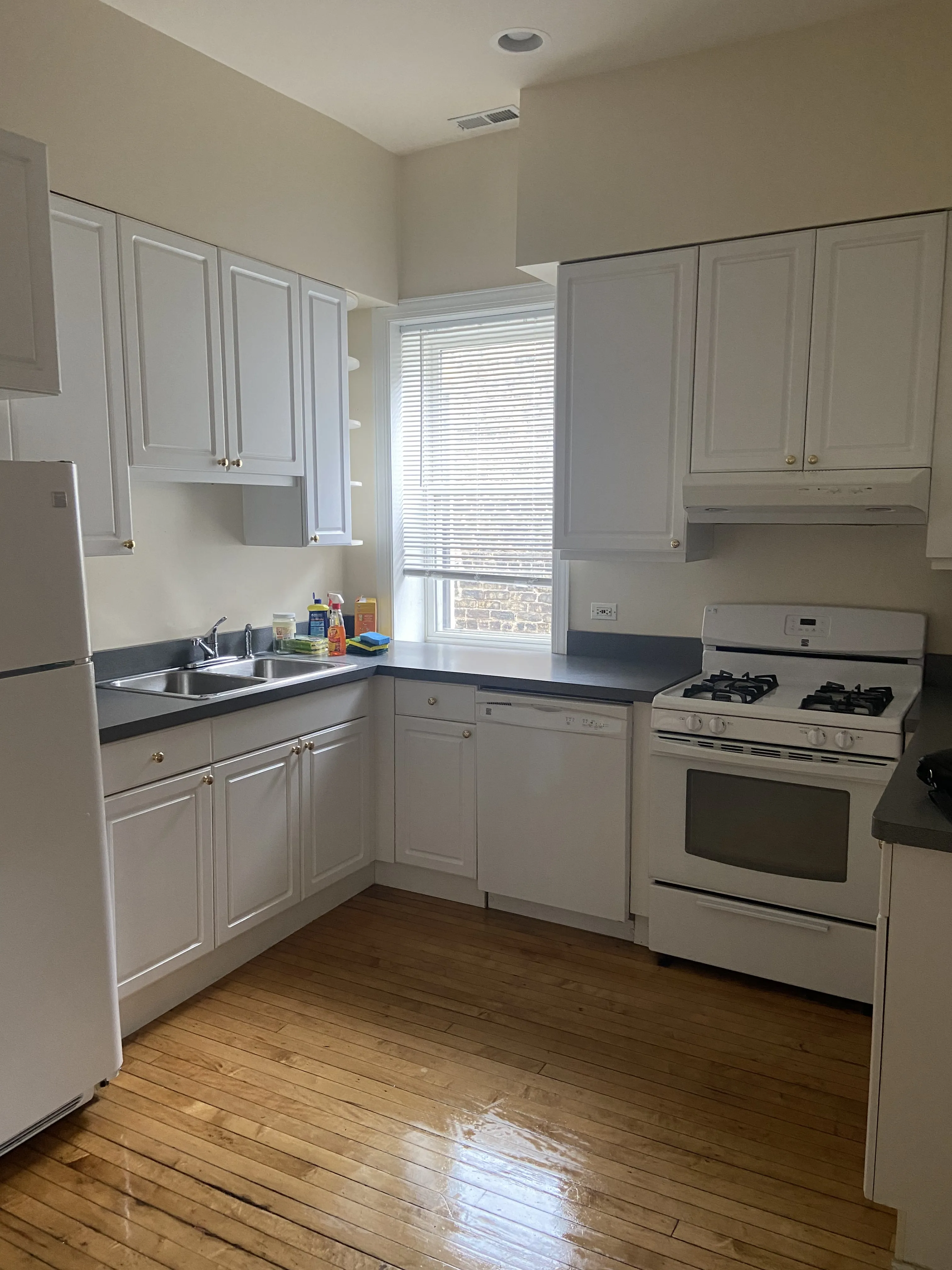 644 W GRACE ST 60613-unit#3-Chicago-IL