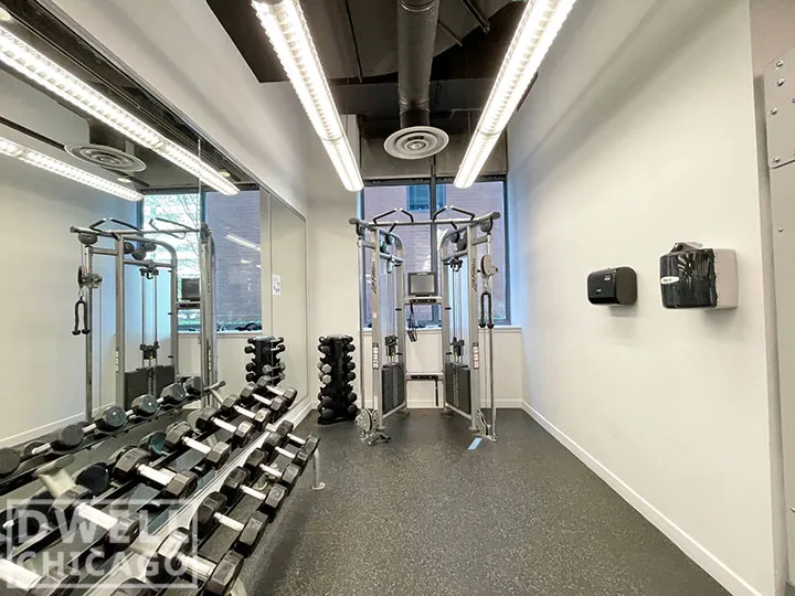 1255 S MICHIGAN AVE 60605-unit#1-Chicago-IL