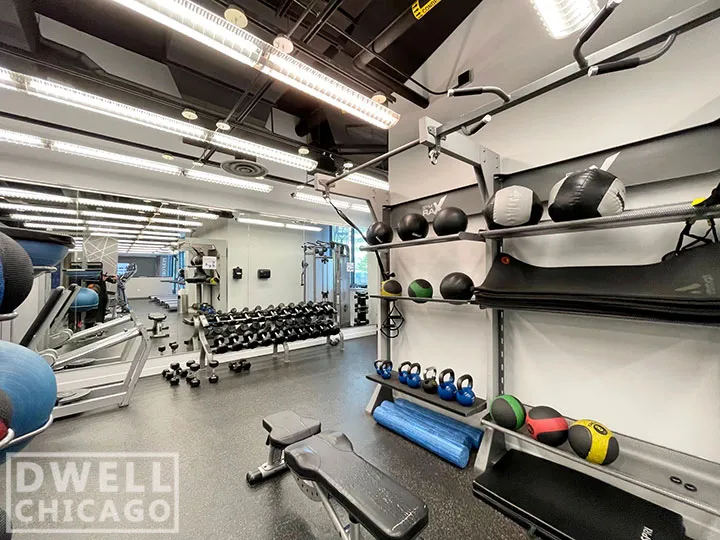 1255 S MICHIGAN AVE 60605-unit#1-Chicago-IL