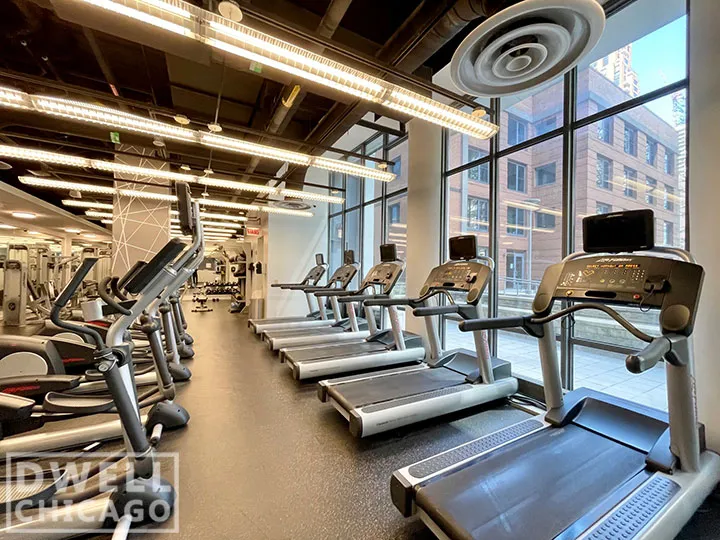 1255 S MICHIGAN AVE 60605-unit#1-Chicago-IL