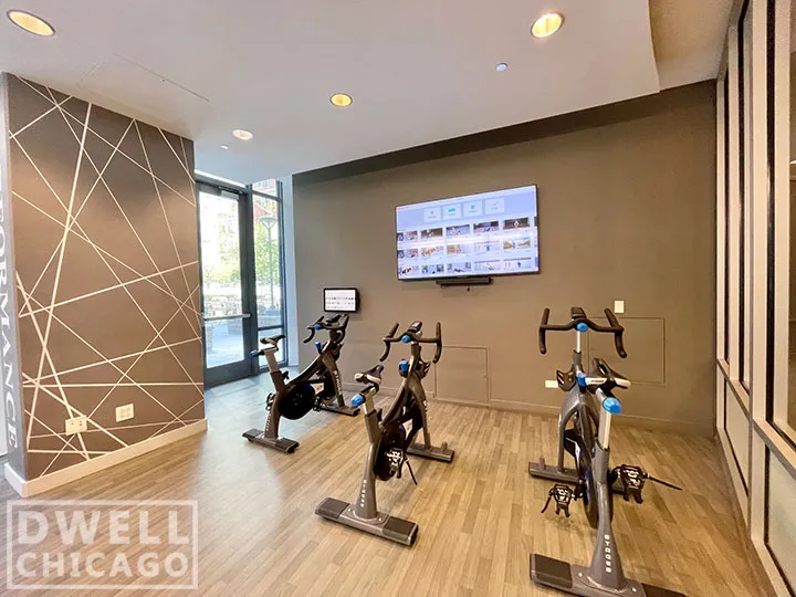 1255 S MICHIGAN AVE 60605-unit#1-Chicago-IL