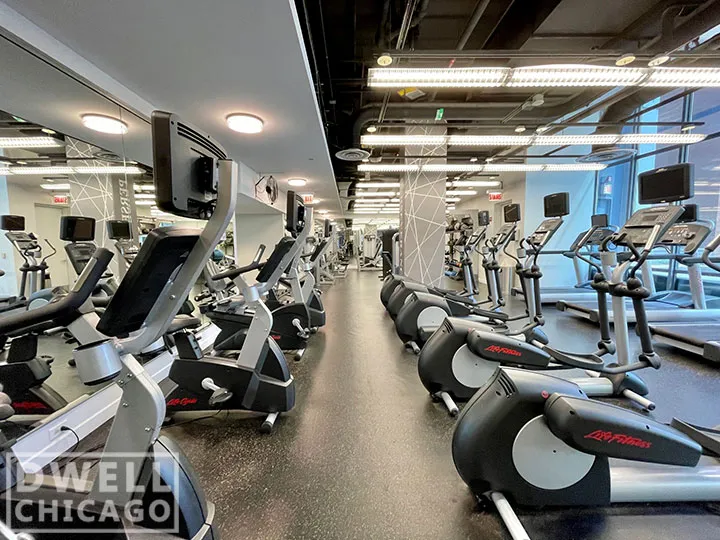 1255 S MICHIGAN AVE 60605-unit#1-Chicago-IL