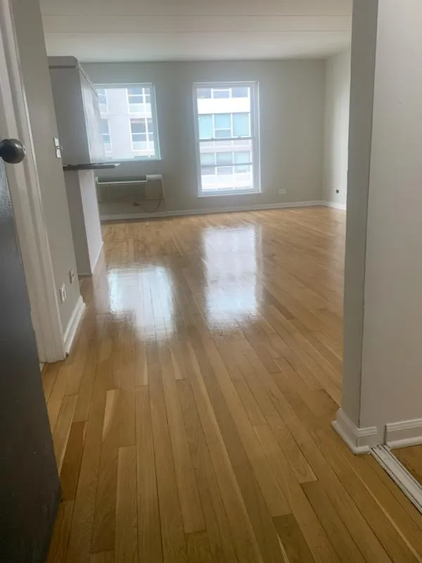 711 W GORDON TER 60613-unit#509-Chicago-IL